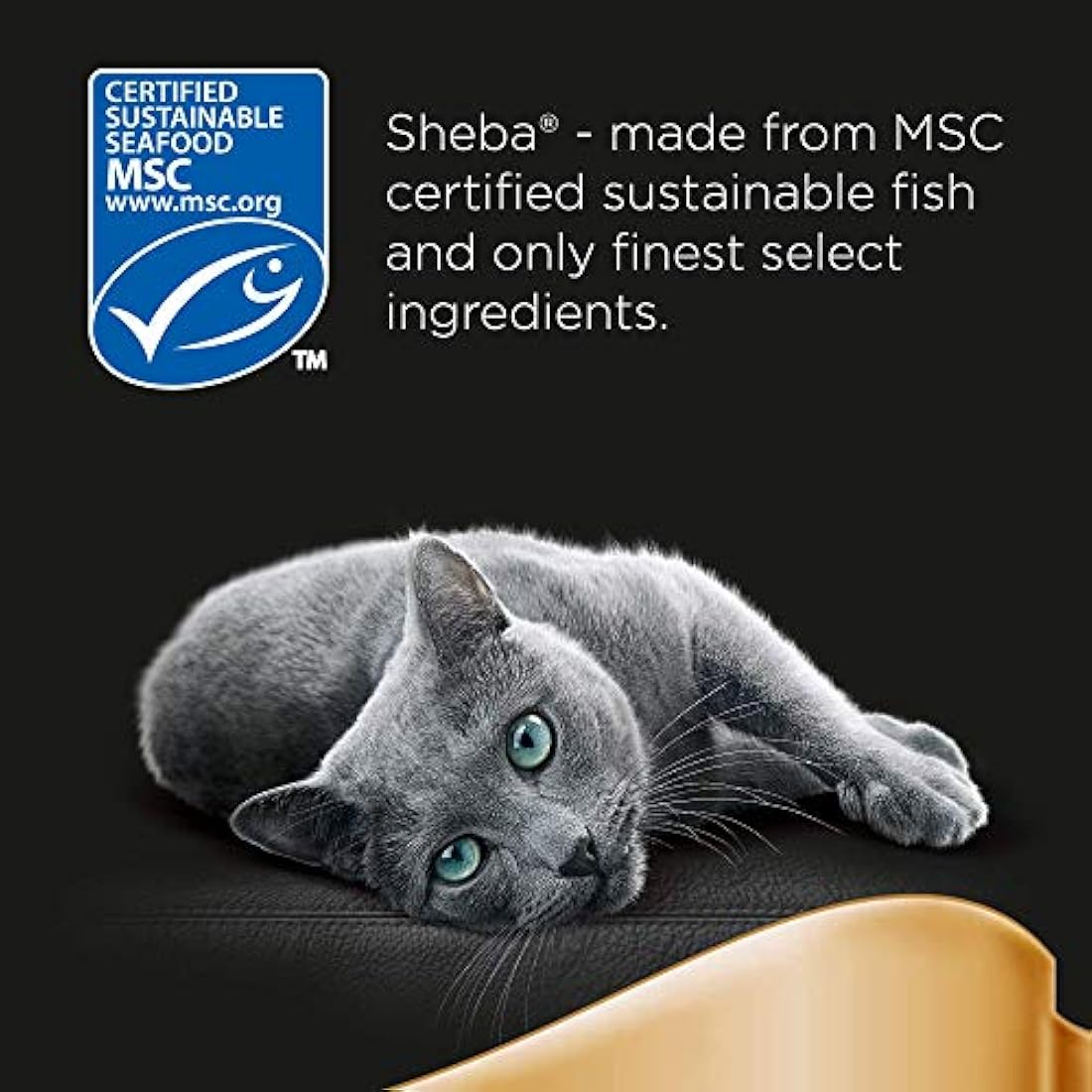 Sheba Classics Cat Food Trays Salmon in Terrine, 85 g (Pack of 22)