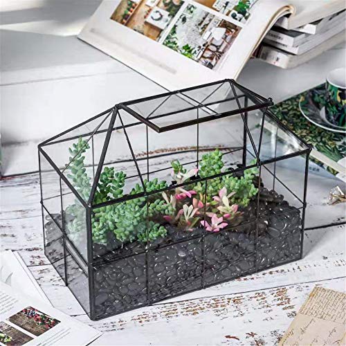 NCYP Geometric Glass Terrarium - 25x13.5x20 cm House Shape Terrarium Planter for Succulents, Cacti - Modern Home Indoor Tabletop Decor, Centerpiece,