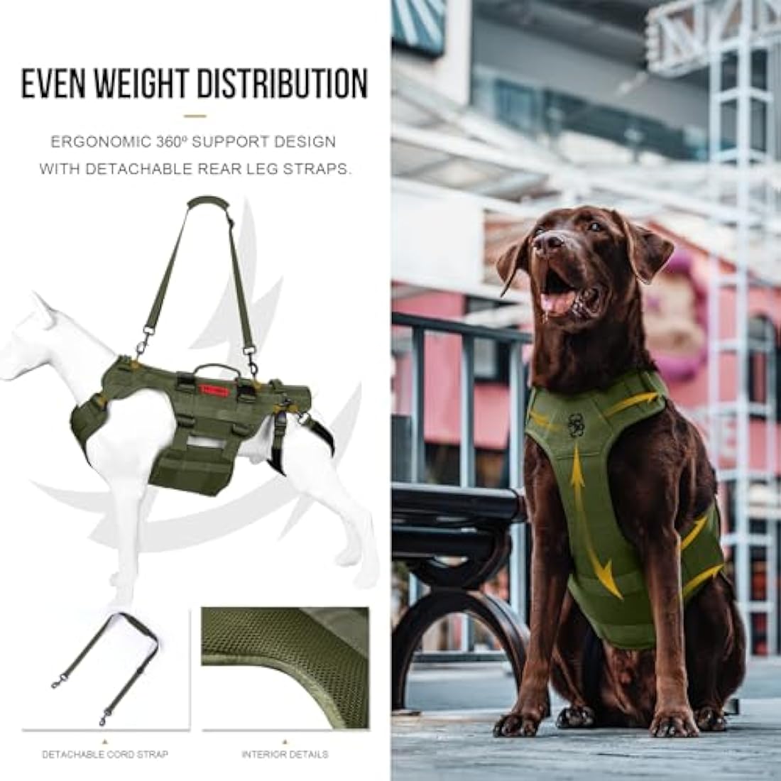 OneTigris Dog Lift Harness for Large Dogs, Dog Support Sling for Back Legs, DOG Lifter with Handles Invictus Multifunctional Mobility Assistance Vest Pet Hip Support Brace (Olive, L)