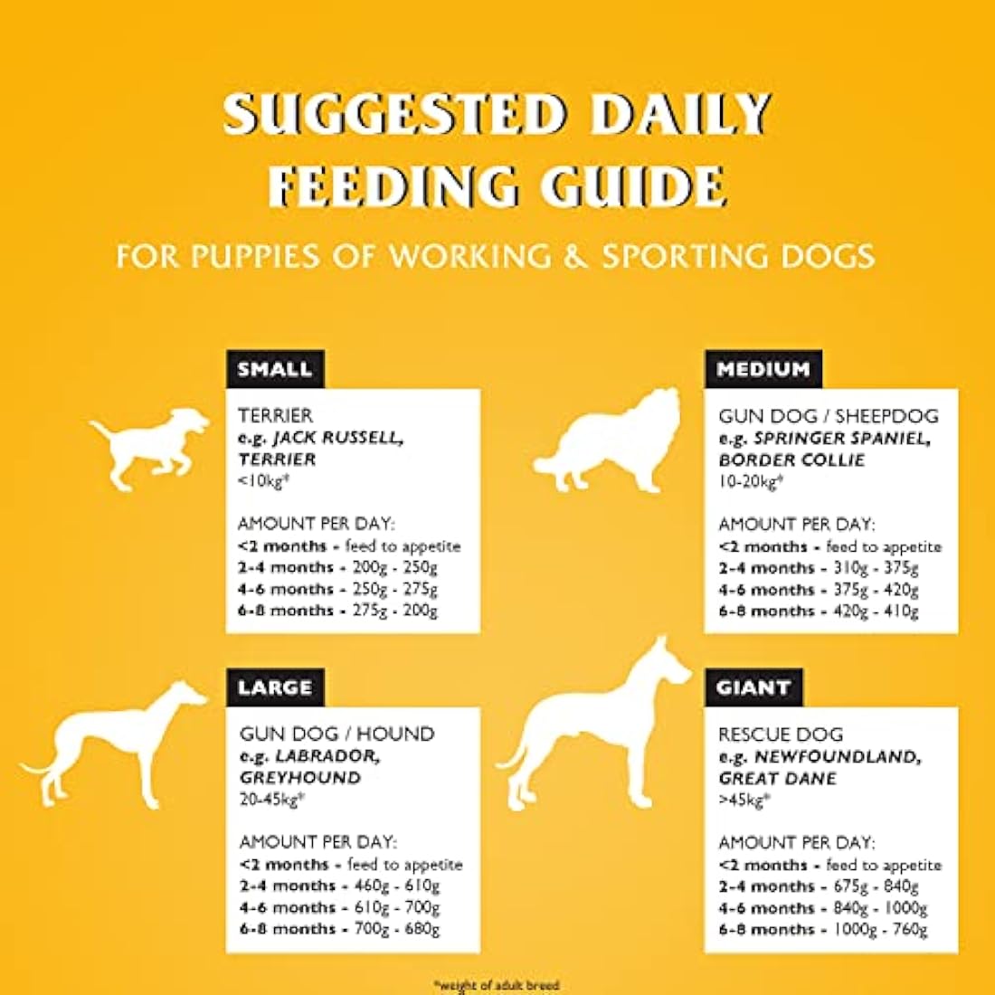 Dr John Dry Puppy Food 10kg with Omega-3s - Chicken Recipe - Complete Nutrition for Puppies of Sporting Active Breeds - Junior High Protein Dry Dog Food.