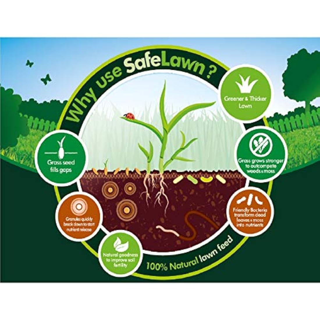 Westland 20400352 SafeLawn Child and Pet Friendly Natural Lawn Feed 80 m2, Green, 2.8 kg