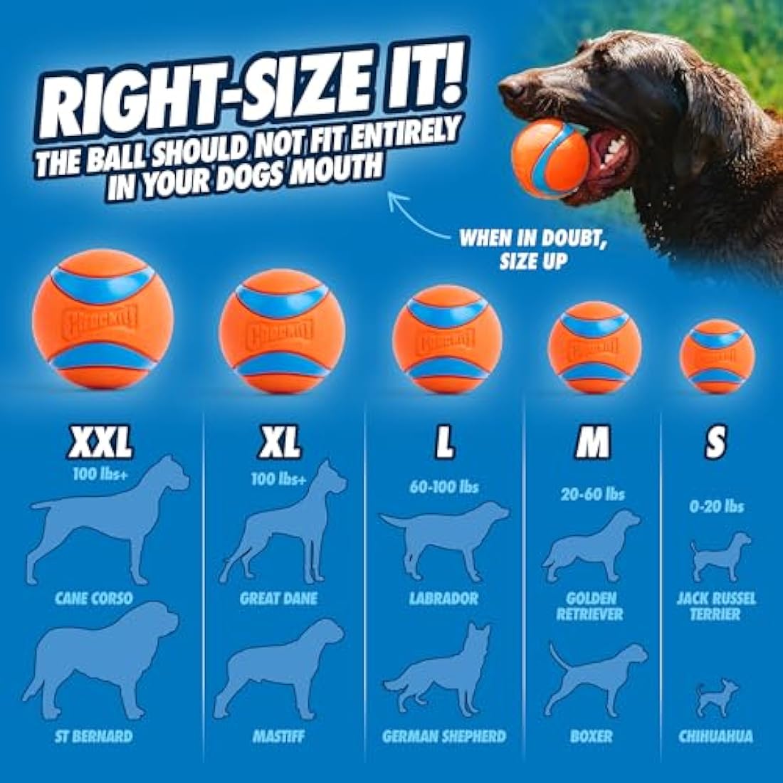 ChuckIt! Ultra Ball Dog Toy Chuckit Bucket Durable Rubber Dog Ball and Bucket High Bounce Floating Chuck It Launcher Compatible Toy Balls For Dogs with Carrier, 8 Pack, Medium