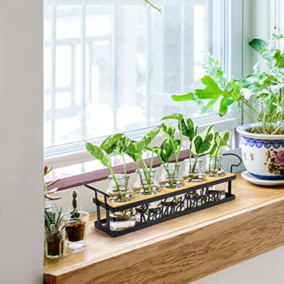 THYGIFTREE Plant Propagation Stations with Metal Stand, Tabletop Plant Terrarium for Propagating Hydroponic, Retro Glass Planter Flower Vase Home Kitchen Office Decor, Plant Lover Gifts
