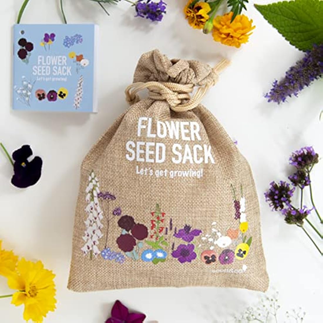 Scott&Co. Flower Seed Variety Pack - 30 Different Varieties of Flower Seeds to Grow Your Own. Butterfly and Bee Attracting, Grow Indoor and Outdoor. Mother's Day Gifts for Women and Men.