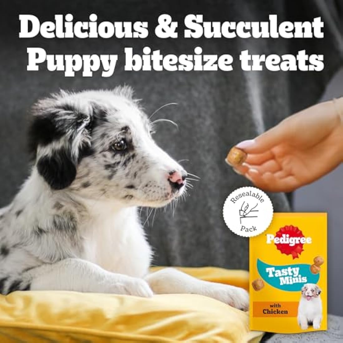 PEDIGREE TASTY MINIS Puppy Dog Treats Chicken Chewy Cubes 125g - Pack of 8