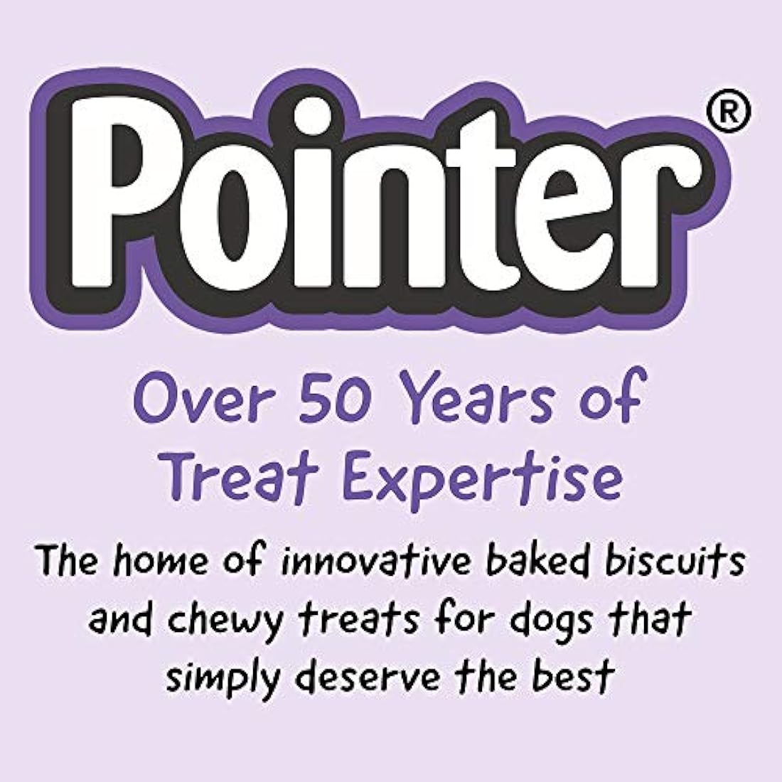 Pointer - Beef Flavoured Gravy Bones, Beefy Dog Treats, Tasty Gravy Dog Bones, 1.5kg