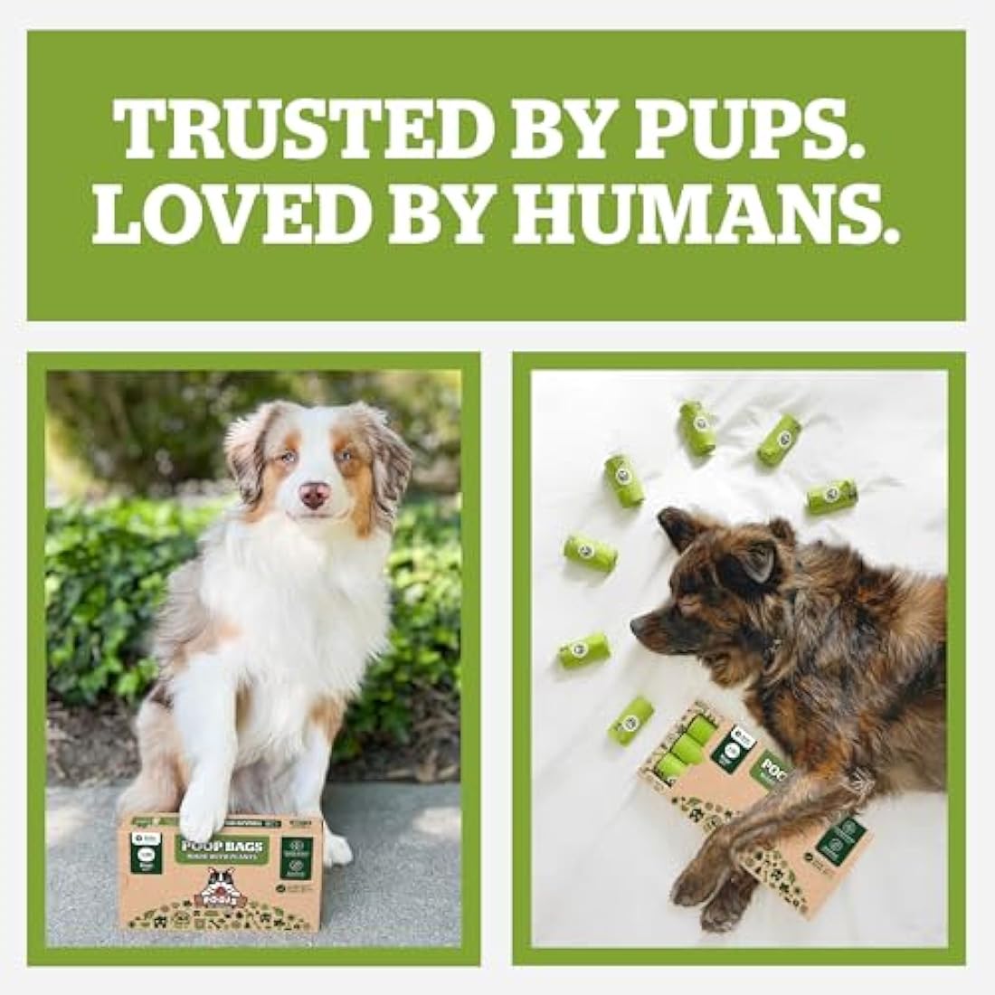 Pogi's Compostable Dog Poo Bags – Leak-Proof, Extra-Large, Made with Plants – 32 Rolls (480 Bags)