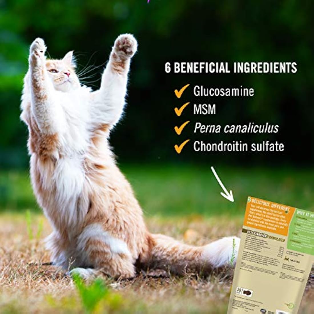 Pet Naturals - Hip + Joint for Cats, Daily Hip & Joint Support Supplement, 30 Chews