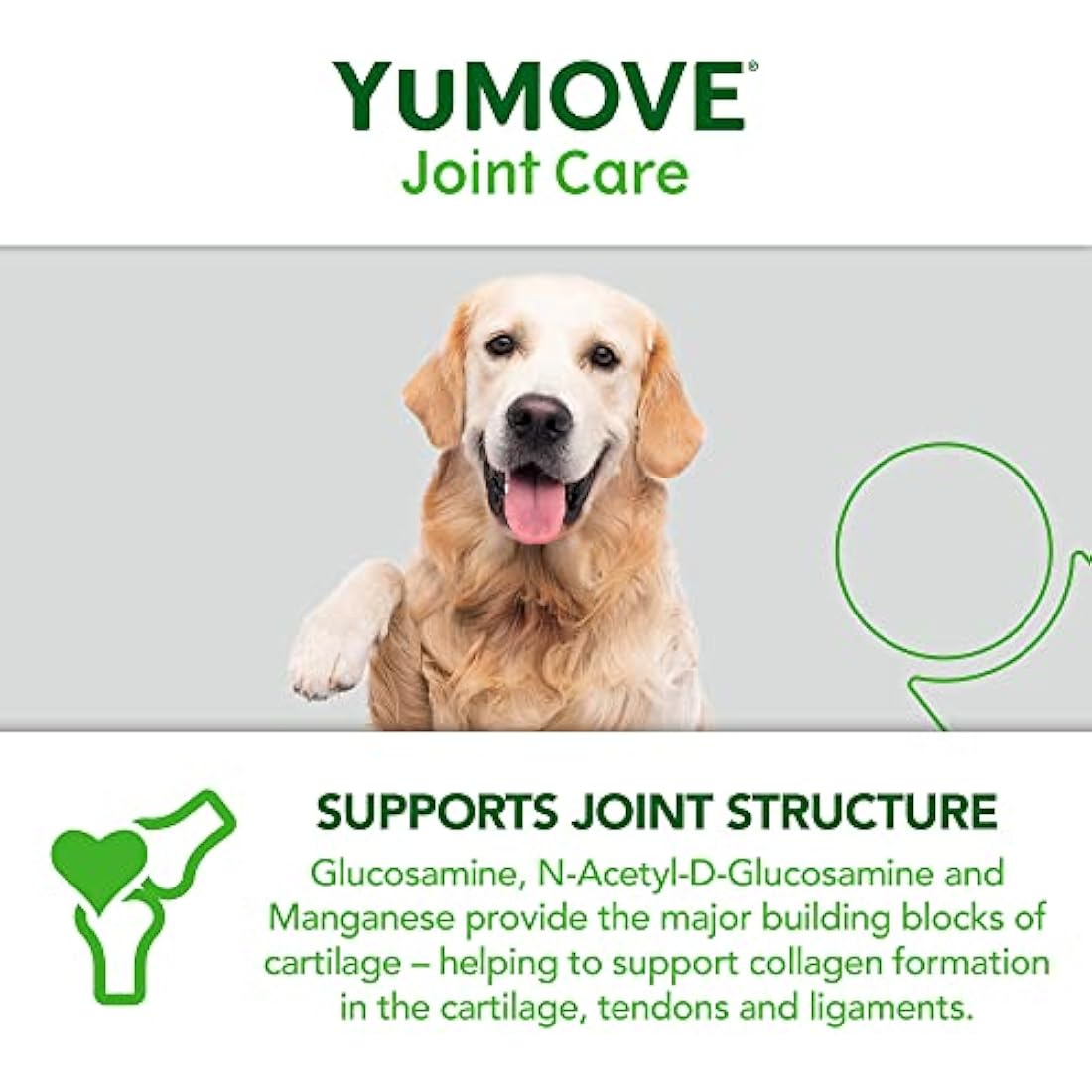 Lintbells | YuMOVE Senior Dog | Higher Strength Hip and Joint Supplement Formulation Designed for Older Dogs | Aged 8+ | 240 Tablets