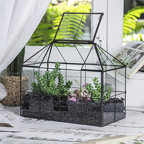 NCYP Geometric Glass Terrarium - 25x13.5x20 cm House Shape Terrarium Planter for Succulents, Cacti - Modern Home Indoor Tabletop Decor, Centerpiece,