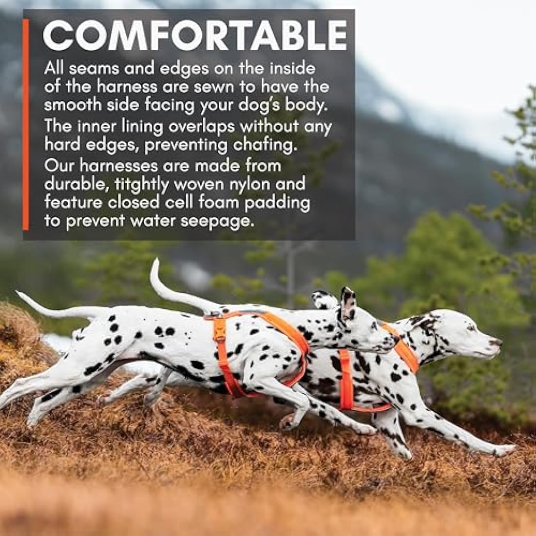 Nonstop Line Harness, Chest Harness, Guide Harness for Dogs, Adjustable Size (5, Orange)