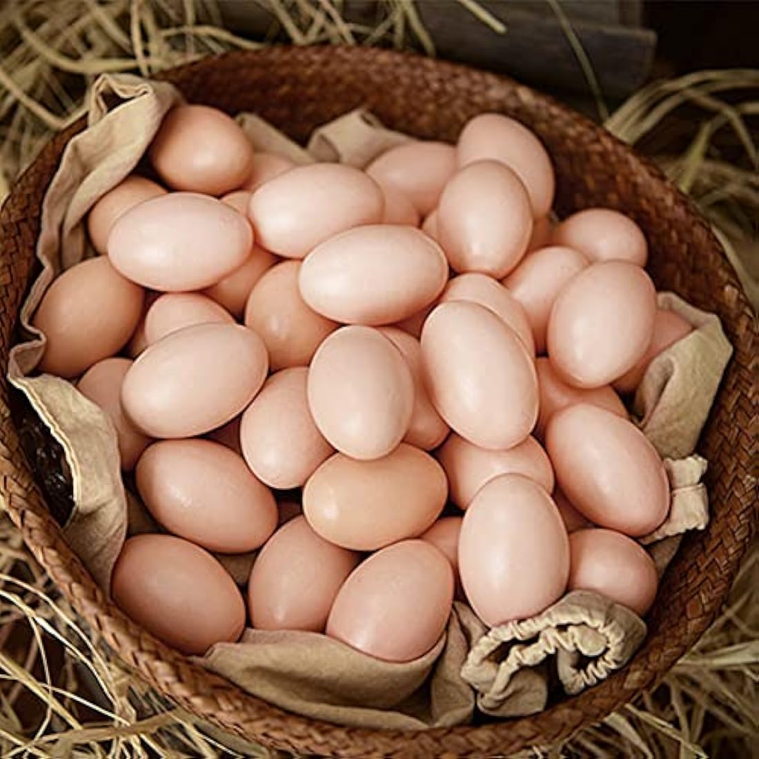 Artificial Plastic Eggs, 20Pcs Fake Chicken Eggs Artificial Nest Eggs Realistic Dummy Eggs Unbreakable Chicken Toy Eggs Encourage Laying&Prevent Eating Decorative Eggs DIY