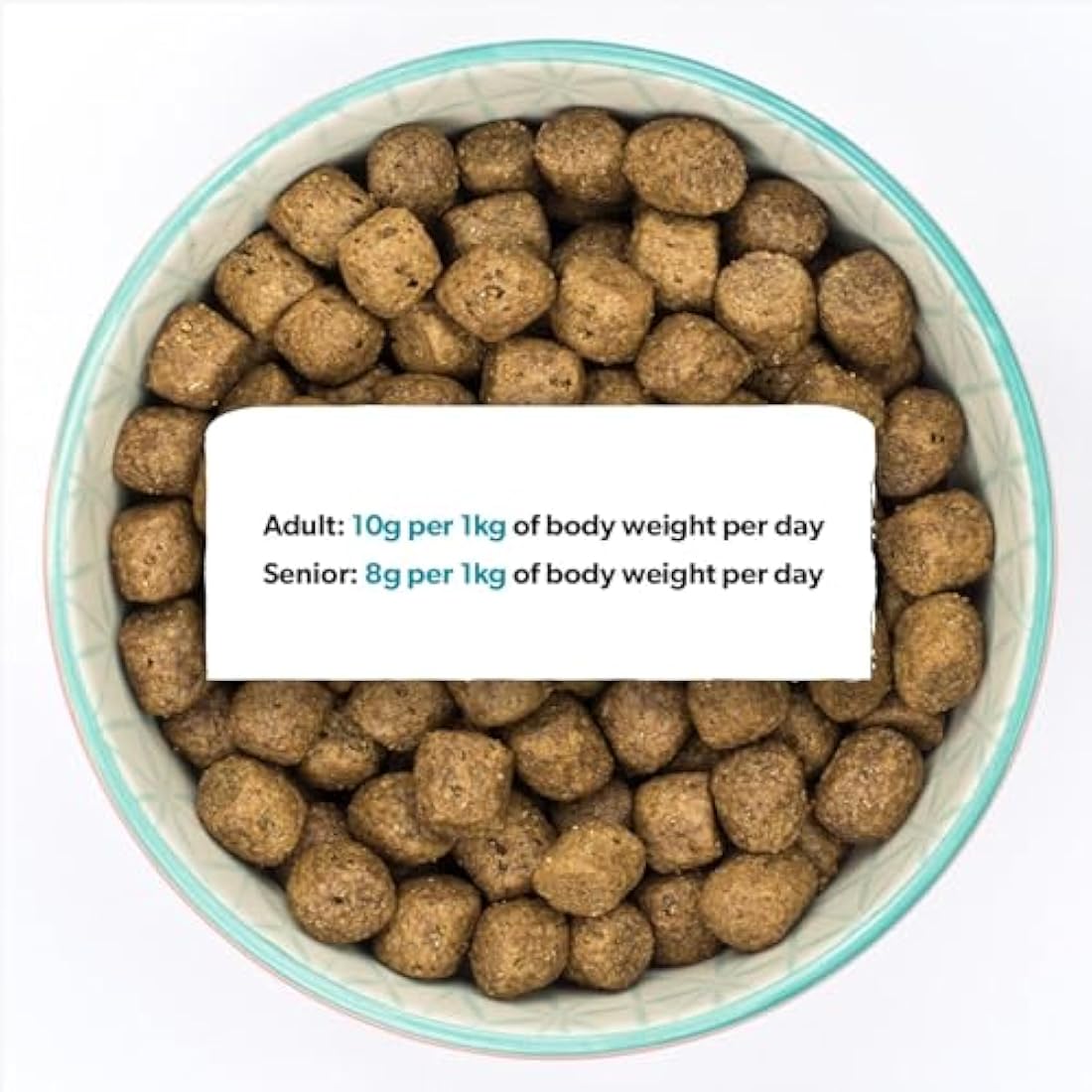Burns Pet Nutrition Hypoallergenic Complete Dry Dog Food Adult and Senior Dog Sensitive with Pork and Potato 6 kg
