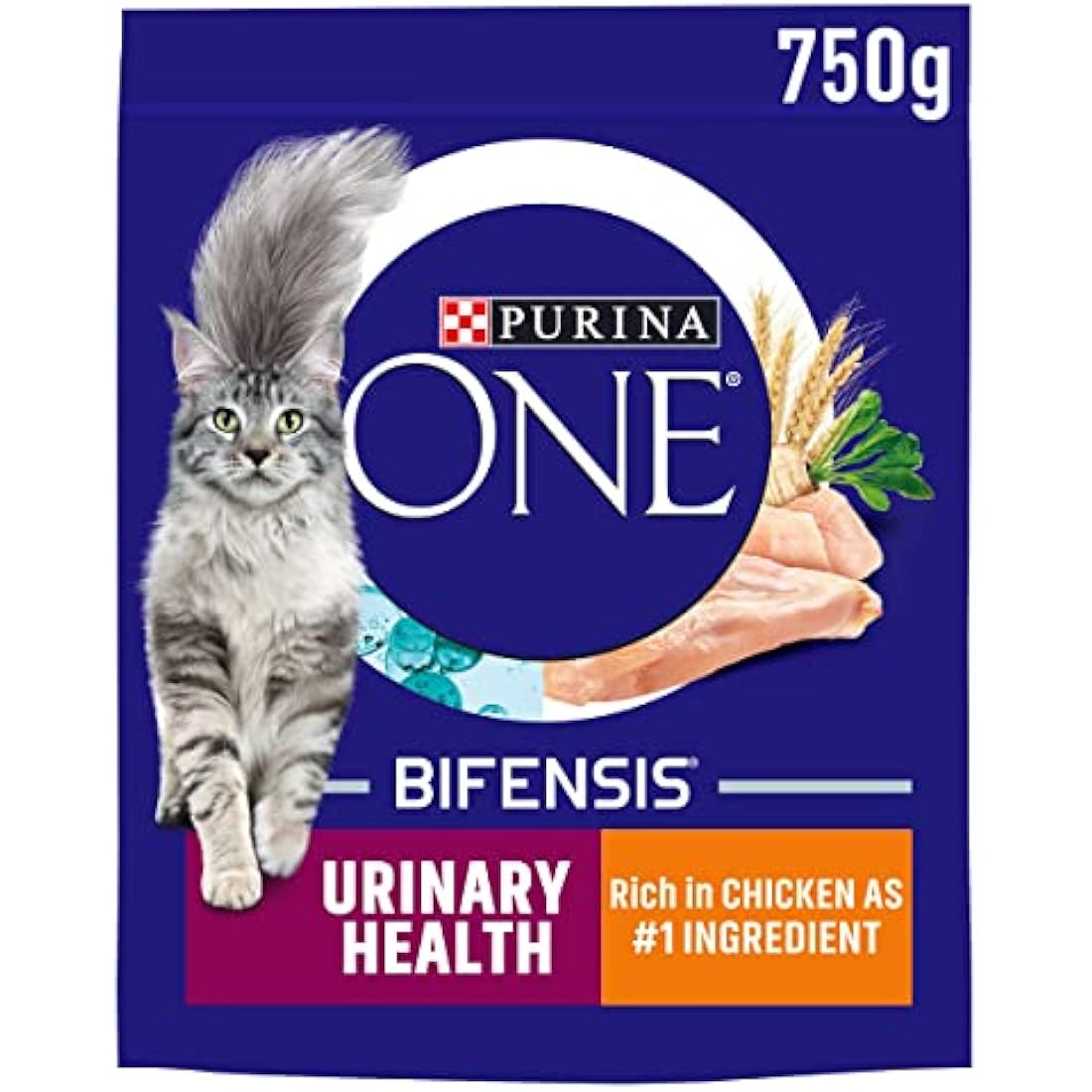 PURINA ONE Urinary Health Chicken Dry Cat Food 750g (Pack of 4)