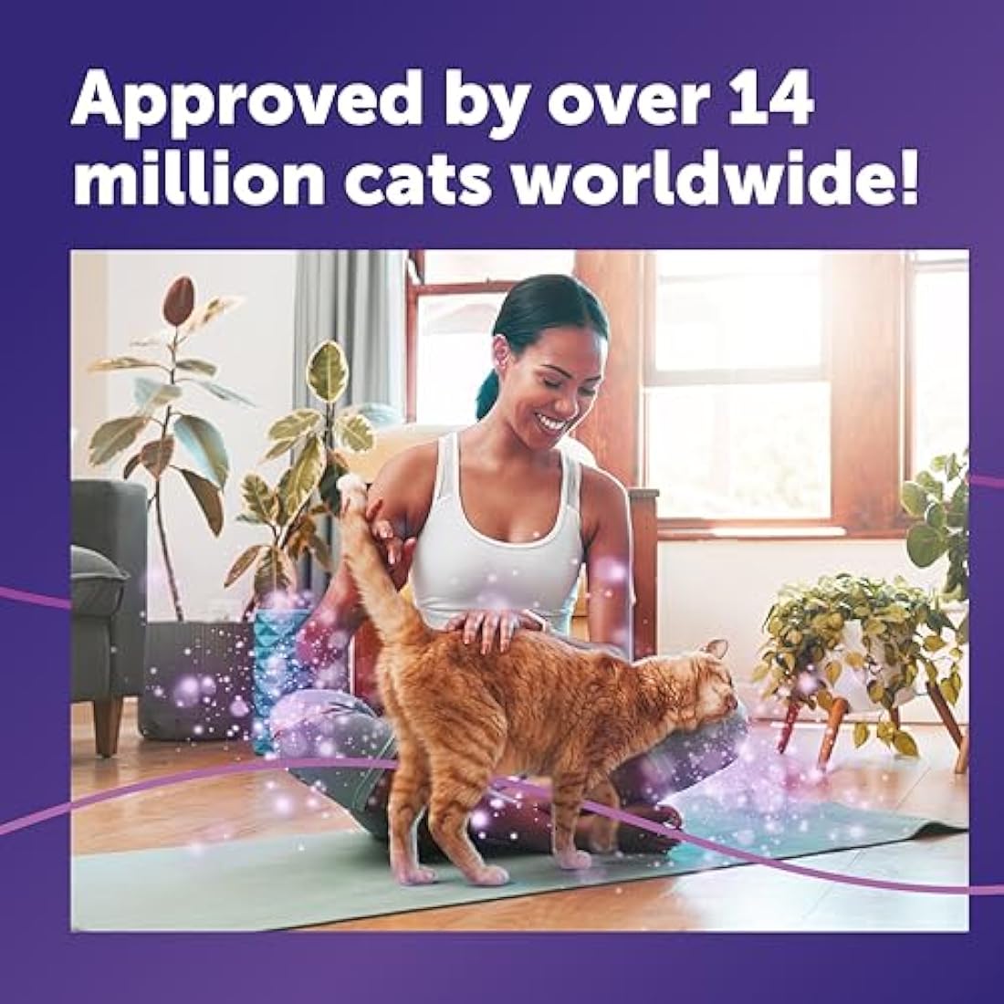 FELIWAY Classic Cat Calming Odourless Spray, 20ml - Comforts Cats at Home and On the Go and Reduces Stress During Travel, Veterinary Recommended, Drug-free, Clinically Proven