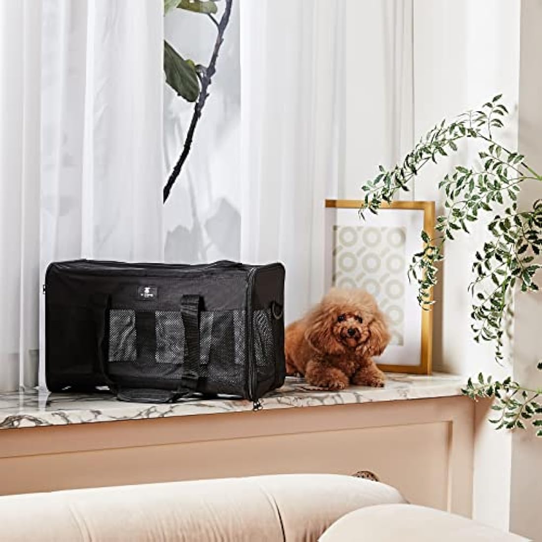X-ZONE PET Airline Approved Soft-Sided Pet Travel Carrier for Dogs and Cats (Large, Black)