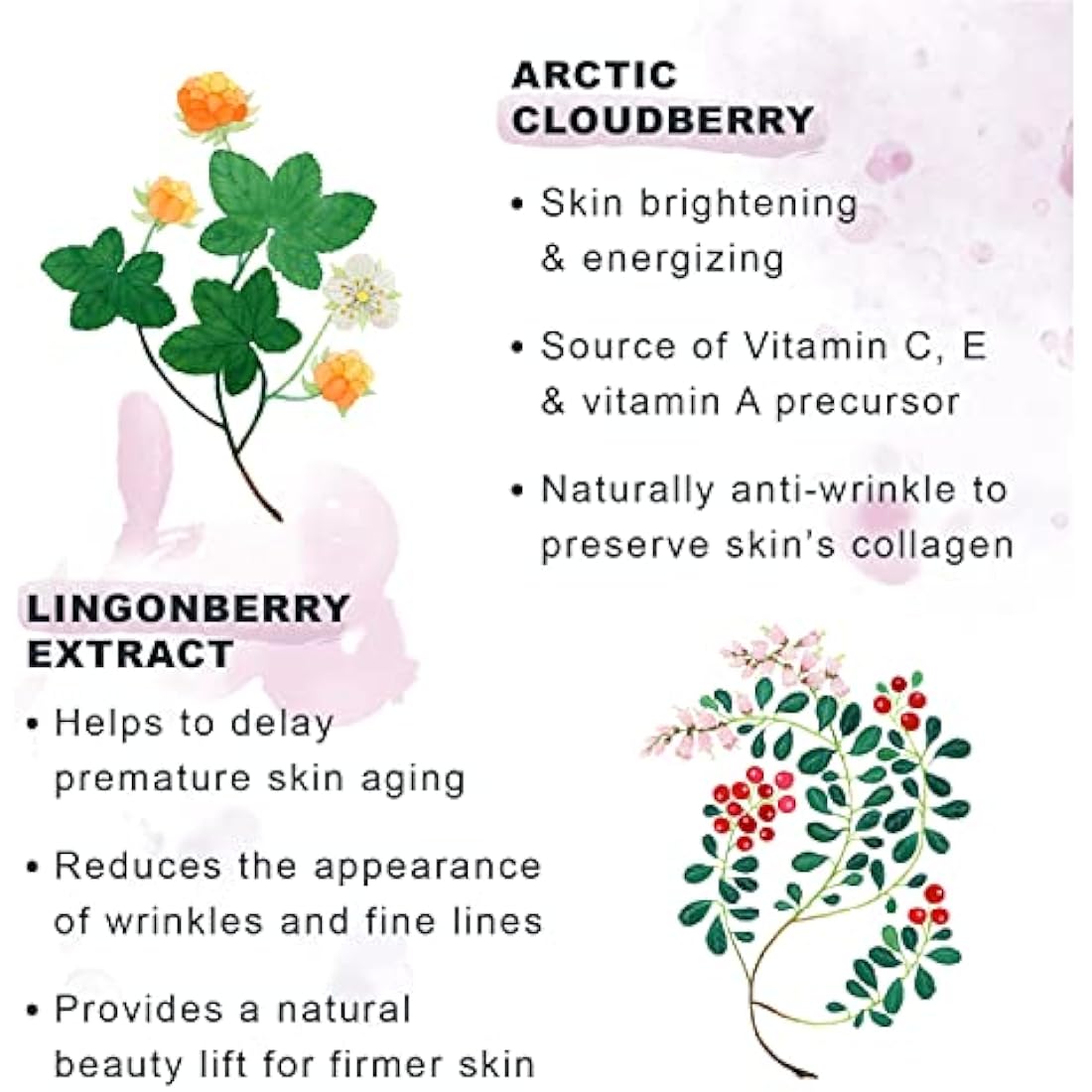 LUMENE Nordic Ageless [AJATON] Radiant Youth Rejuvenating & Replenishing Night Cream, Vegan 50ml