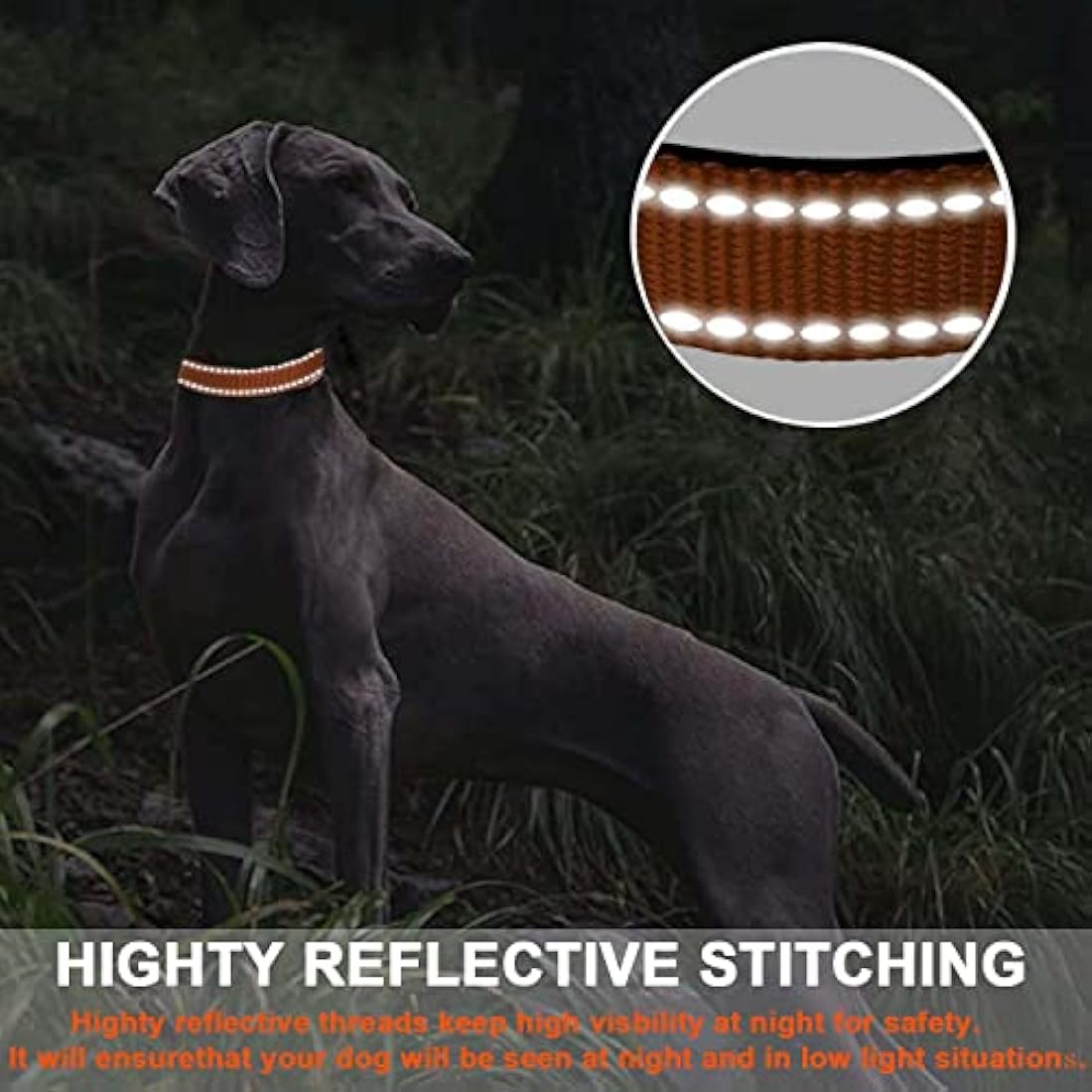 ATETEO Dog Collar, Reflective Dog Collar, Padded Breathable Soft Neoprene Nylon Pet Collar Adjustable for Medium Dogs, Orange, M: 13-19.7 inch