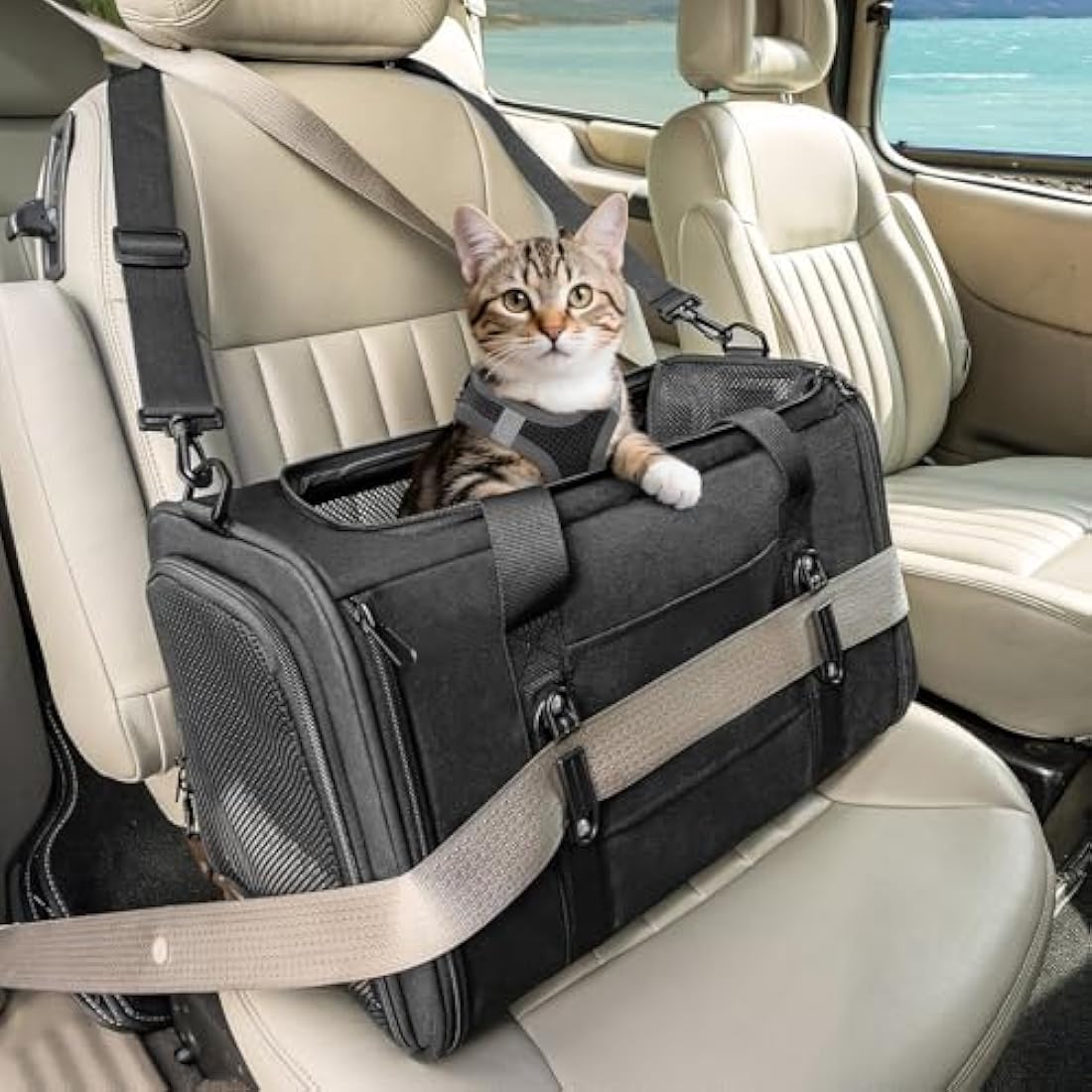 Petsfit Cat Carrier Car, Small Dog Carrier with Upgraded Patented Car Buckle Soft Sided Pet Carrier for Puppy, 4 Side Ventilated with Adjustable Shoulder Straps and Soft Cushion,Black
