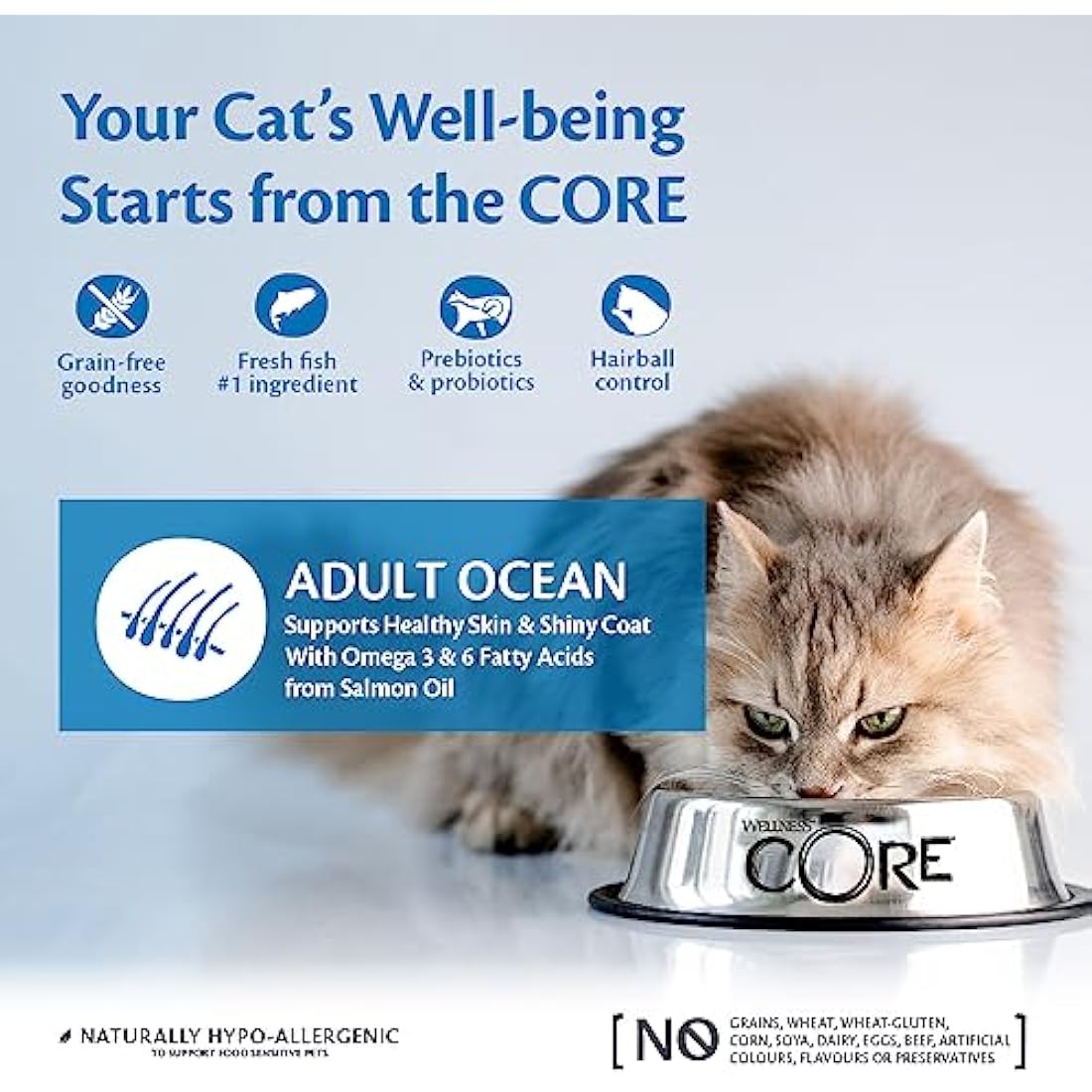 Wellness CORE Adult Ocean, 300g, Salmon & Tuna, Dry Cat Food for All Cats, Grain-Free, High Fish Content, Protein-Rich, Supports Healthy Skin & Shiny Coat