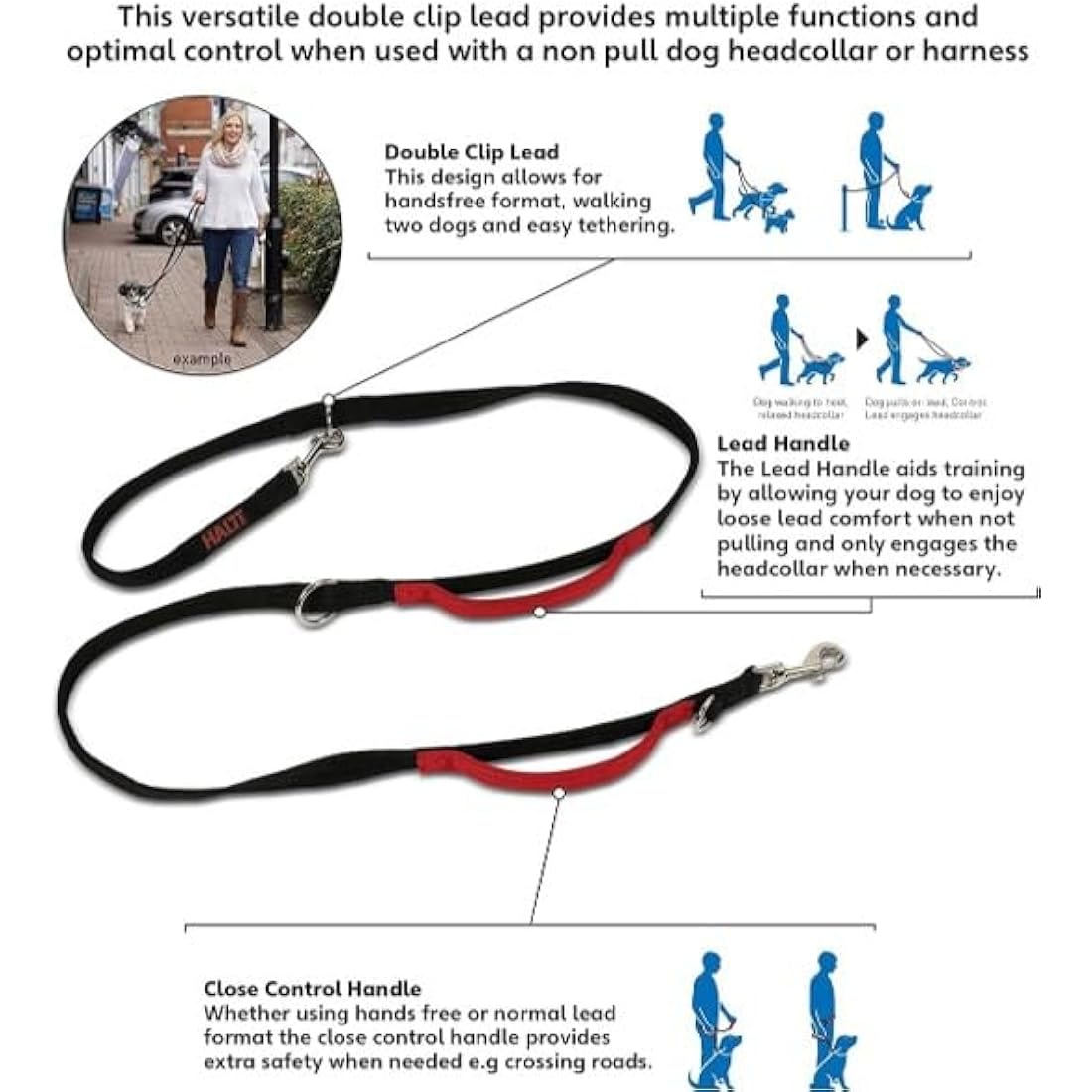 Company of Animals HALTI Control Lead Size Large Black, 2m, Professional Dog Lead to Stop Pulling, Perfect for Puppy Walks, Easy to Use Double-Ended Dog Training Lead with 2 Handles