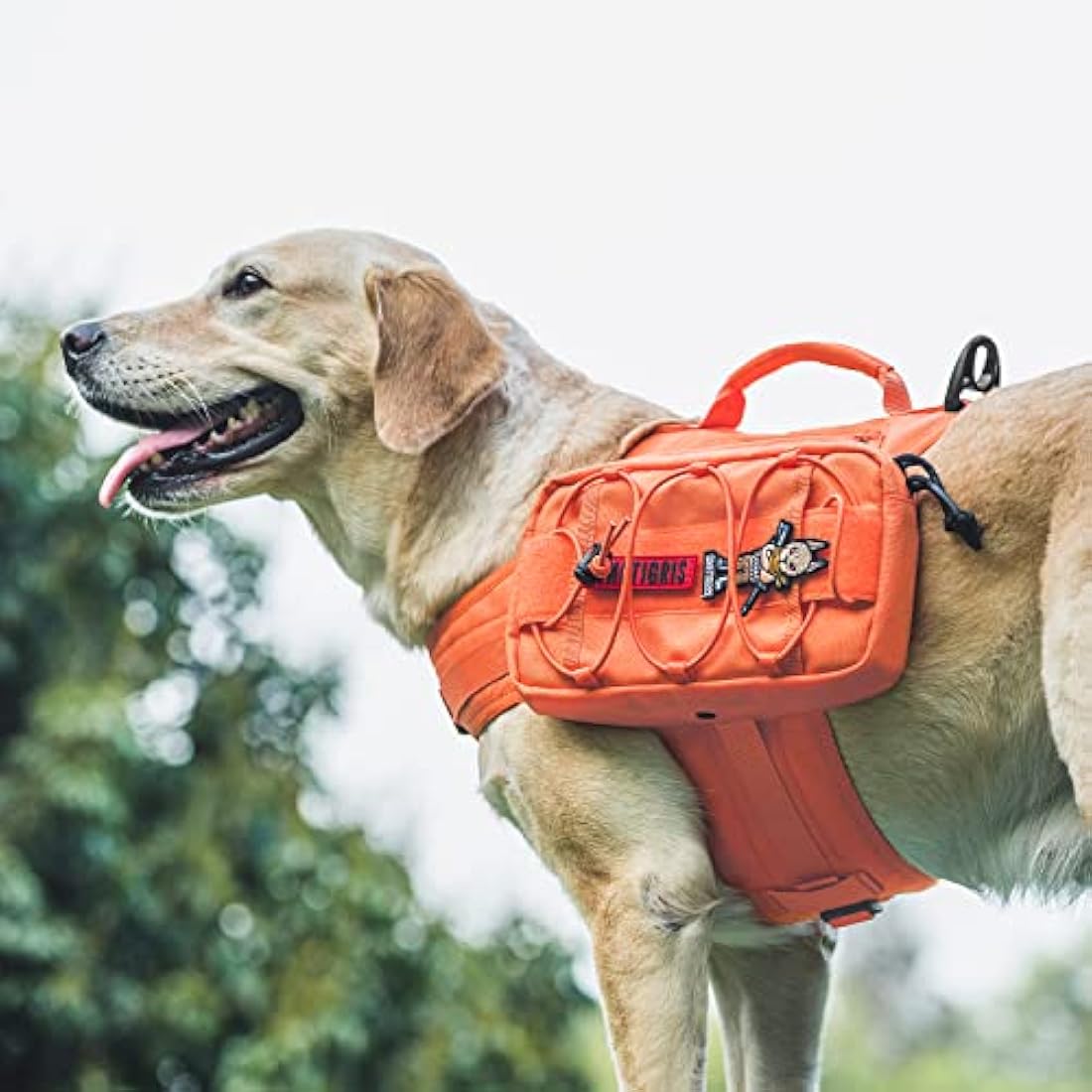 OneTigris Mammoth Dog Backpack 2.0 Version Tear Camping Hiking Dog Backpack for M/L Size Dogs (M, Orange)