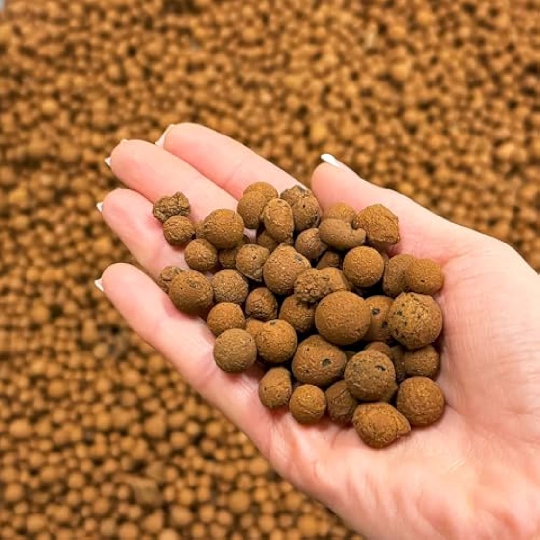 BHomeScent Clay Pebbles for hydroponics (1L)
