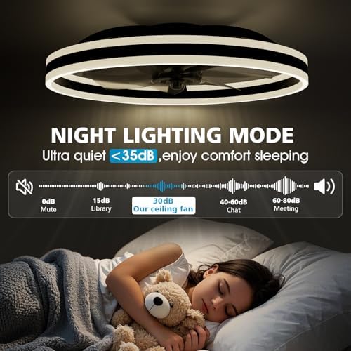 NIORSUN Ceiling Fans with Lights and Remote, 60cm Modern Smart LED Ceiling Fan Light, 6 Speeds and 3000K-6500K Dimmable Quiet Fan Lights Ceiling for Bedroom Living Room Dining Room (Black)