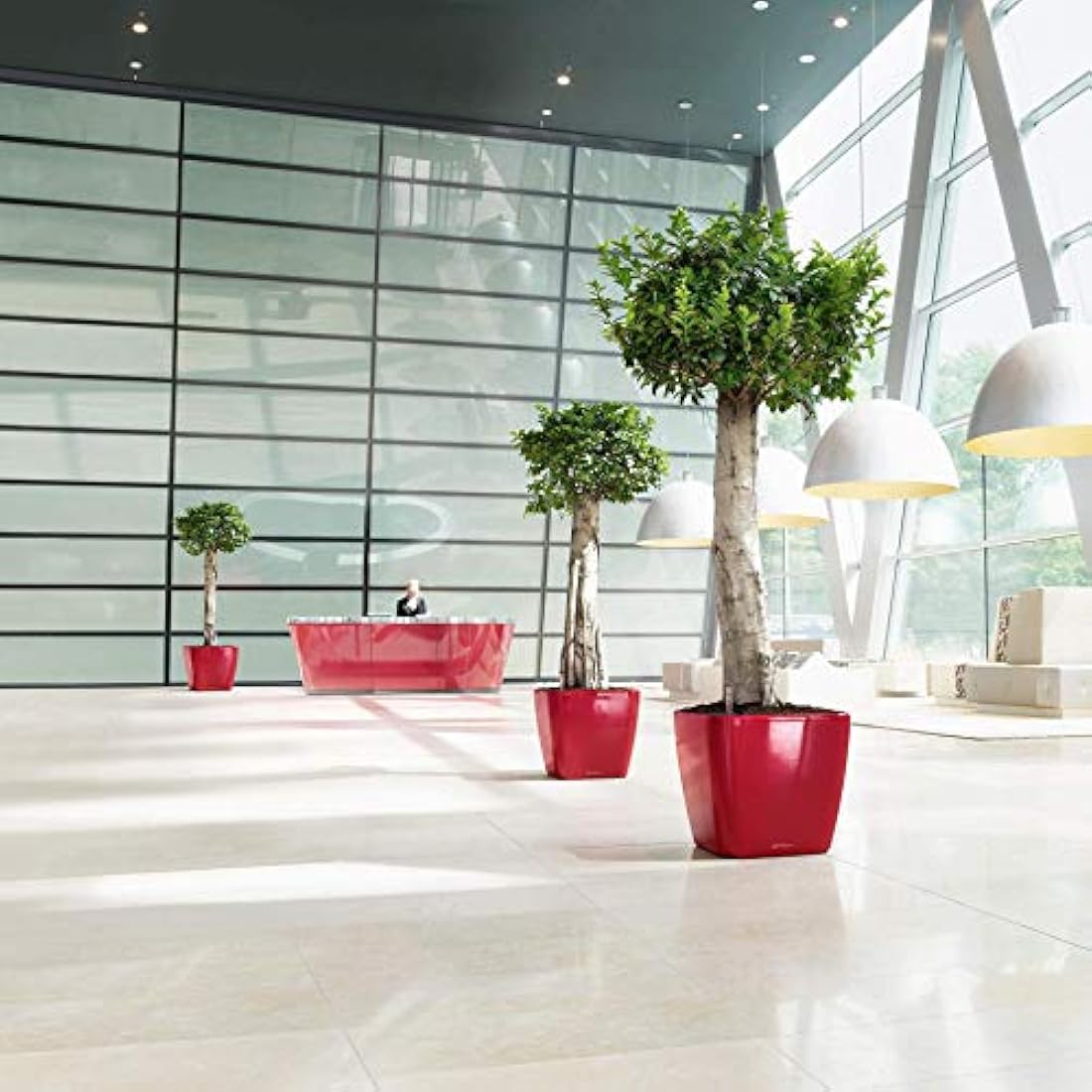 Lechuza Self Watering Plant Pot QUADRO LS 50 Garden Flower Indoor and Outdoor Plastic Planter with Drainage Hole H47 L50 W50 cm White High-Gloss