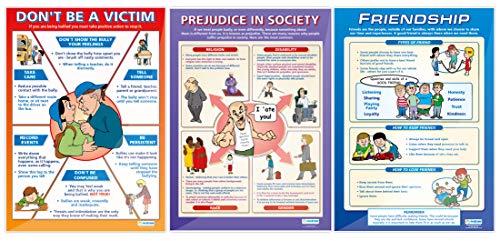 Social Education Classroom Posters - Set of 8 - EXTRA LARGE - A1 (850mm x 594mm) - Laminated - PSHE Secondary School Wall Charts by Daydream Education