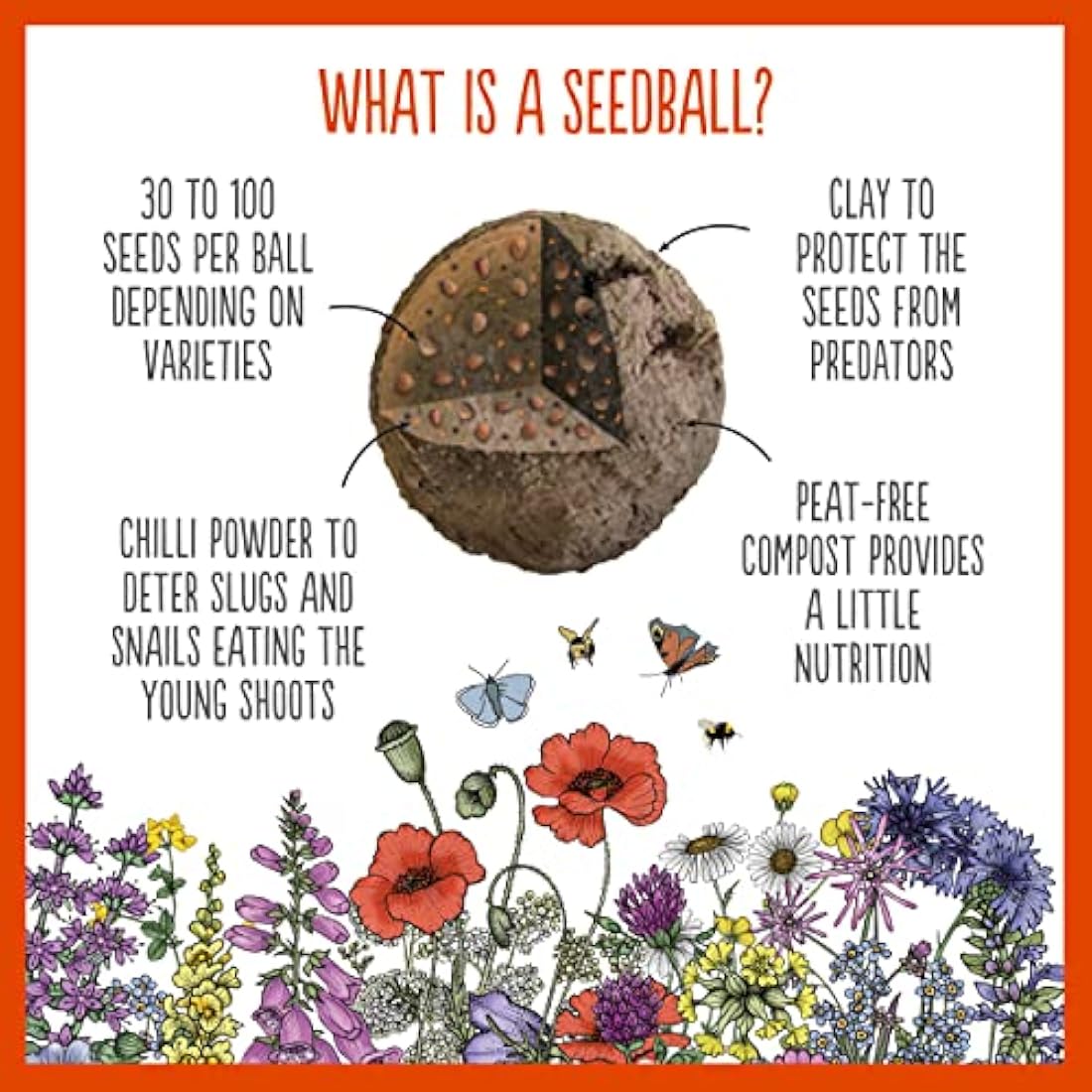 SEEDBALL Poppy Seed Bombs – 100 Seed Balls Per Pack | Bursting with Beautiful Red Poppy Flowers | Clay Protected Seed Bomb for Bees, Butterflies, Birds & Other Garden Wildlife