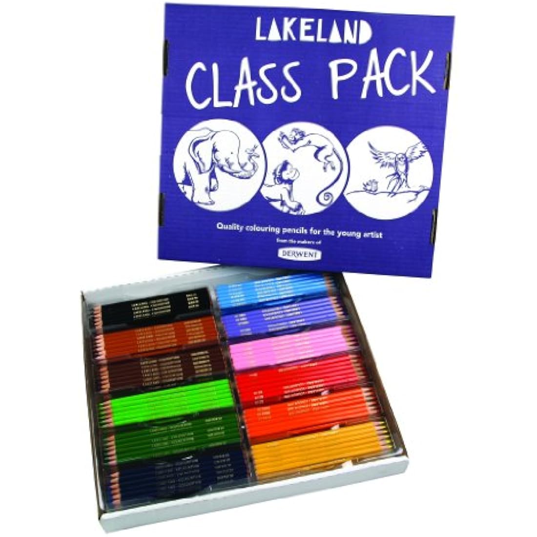 Derwent Lakeland Colourthin Colouring Pencils, Pack of 360 for Classroom Use, 12 Basic Colours, Class Pack, 0700078