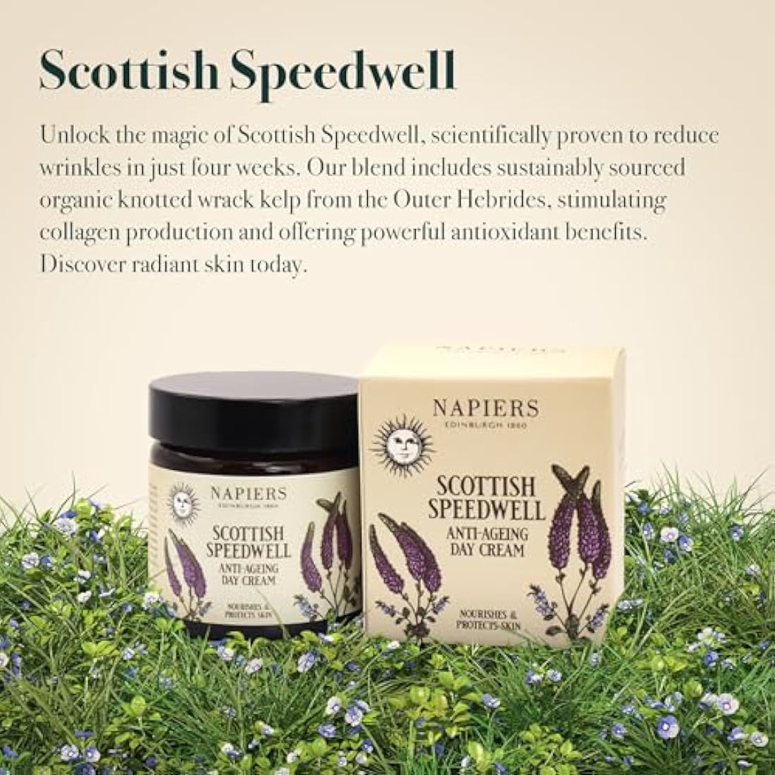 Napiers Speedwell Ageless Day Cream - Anti-Aging & Wrinkle Reduction with Scottish Speedwell & Organic Seaweed - 60ml