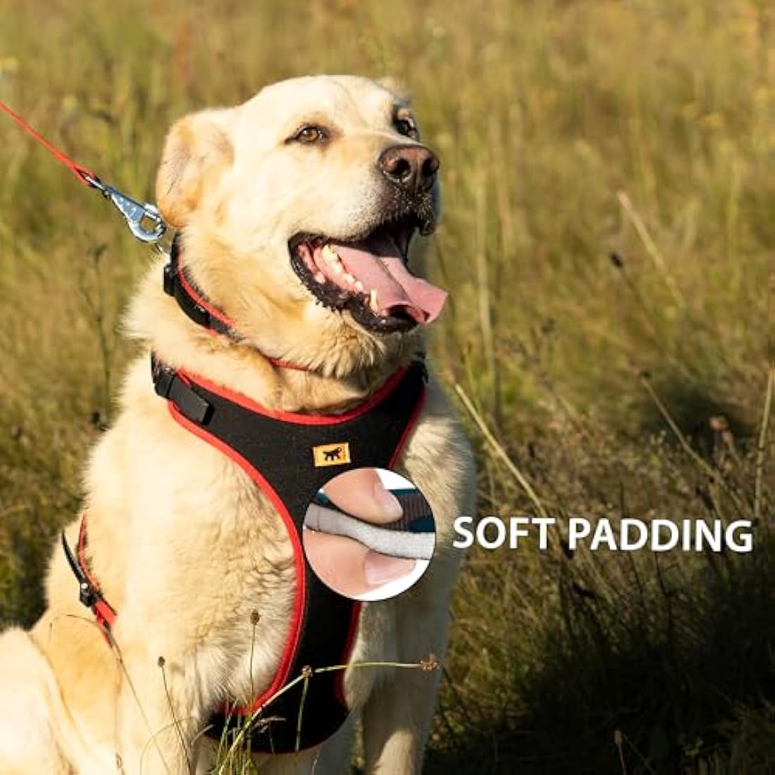 Ferplast Medium Size Dog Harness ERGOCOMFORT MEDIUM, Adjustable Dog Harness, Comfortable, Padded, Double Micro-adjustment Closure, Quick Release, Red