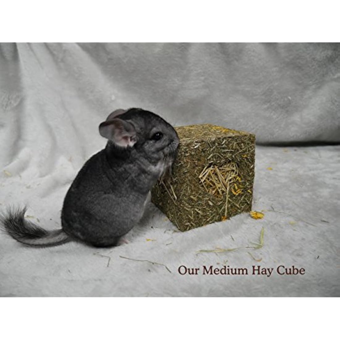 Rosewood Naturals I Love Hay Forage Cube, Small Animal Treat and Gnaw Toy for Rabbits, Guinea Pigs, Chinchillas, Degus, Hamsters, Gerbils, Mice and Rats - Large