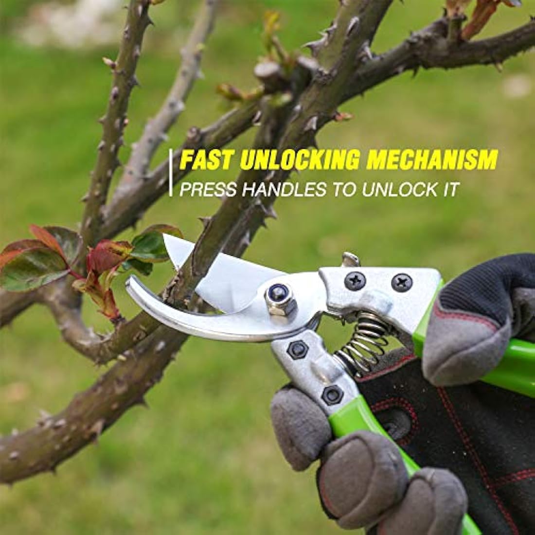 WORKPRO 8-Piece Garden Tools Set, Stainless Steel Hand Tools with Wooden Handle, Including Gloves, Trowel, Weeder, Hand fork, Hand Rake, Transplanter, Pruner and Garden Tote