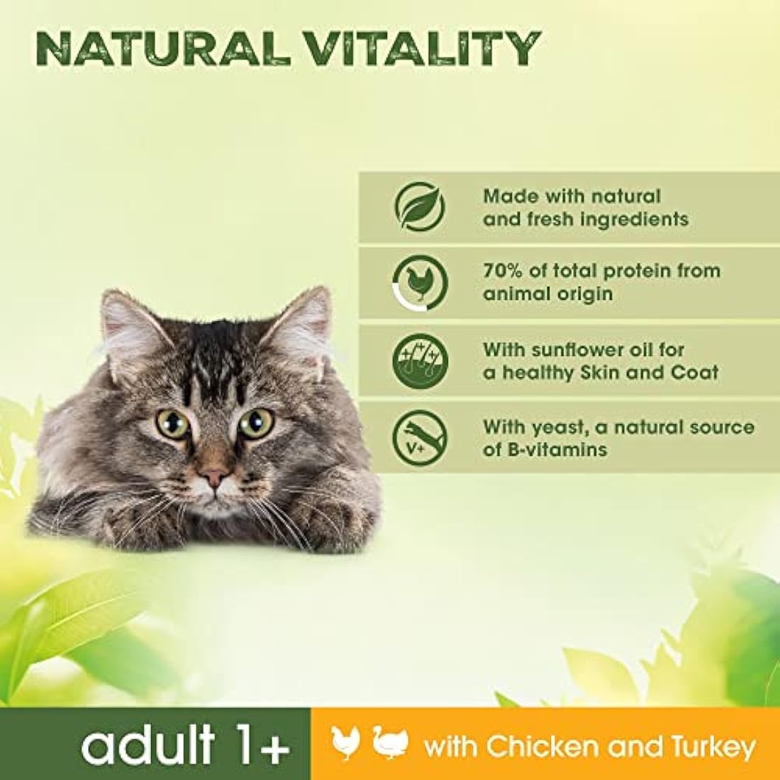 Perfect Fit Natural Vitality Dry Cat Food Adult 1+ - Complete Dry Food for Adult Cats from 1 Year Old, Rich in Chicken and Turkey – 6 kg (Pack of 1)