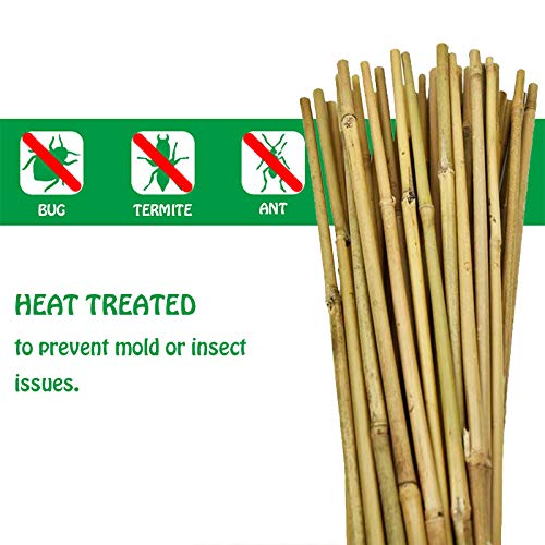 Mininfa Natural Bamboo Canes 5 Feet, Bamboo Stake, Eco-friendly Garden Stakes, Plant Stakes Supports Climbing for Tomatoes, Trees, Beans, 20 Pack