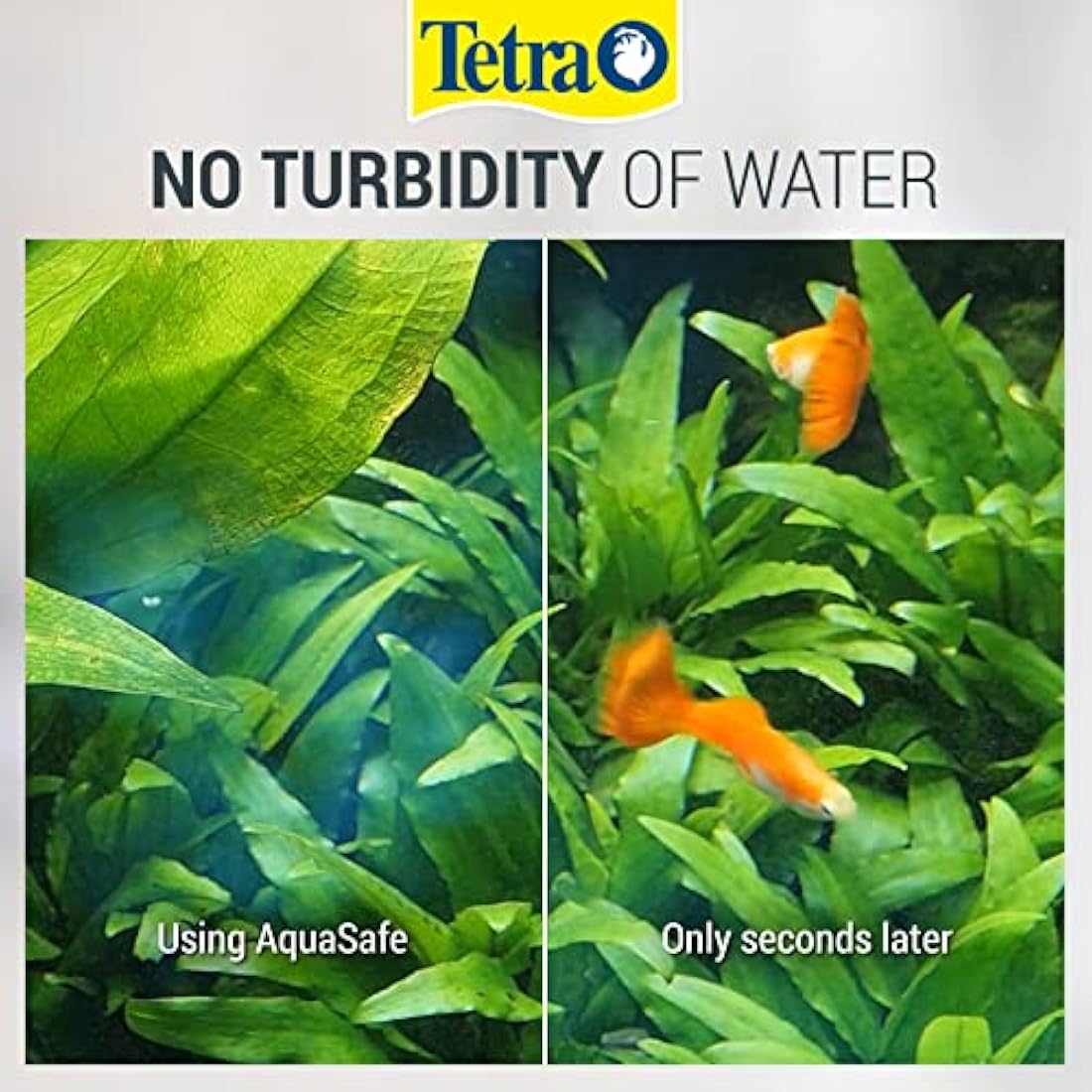 Tetra AquaSafe, to Turn Tap Water into Safe and Healthy Water for Fish and Plants, 5 Litre