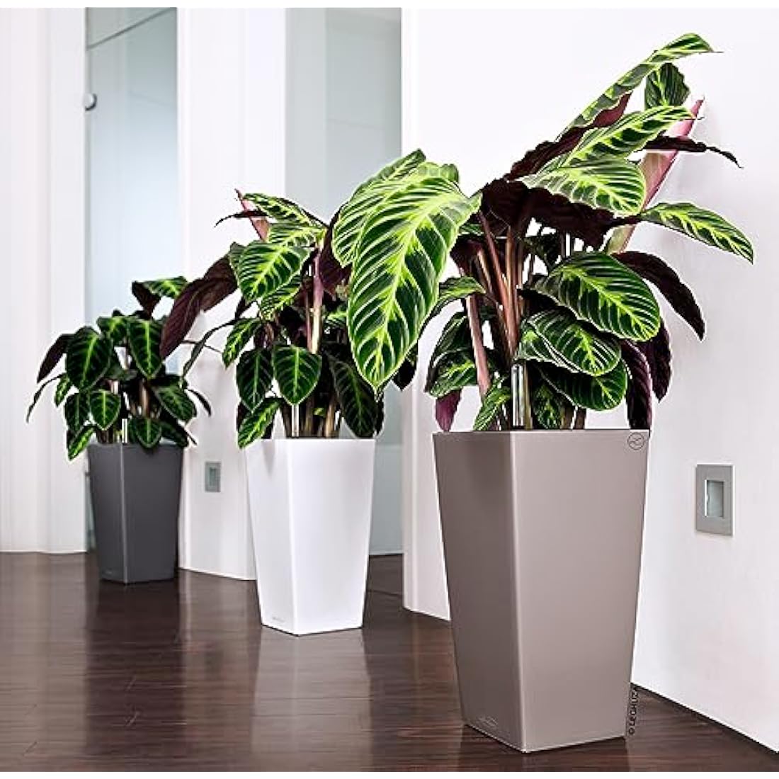 Lechuza CUBICO Color 40 Self Watering Planter Large Garden Plastic Indoor and Outdoor Flower Plant Pot with Drainage Hole H75 L40 W40 cm Nutmeg