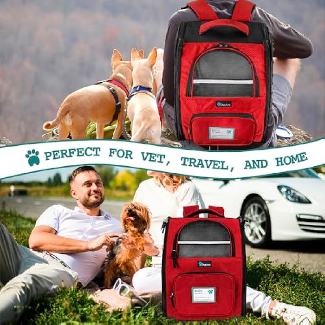 PetAmi Dog Backpack Carrier for Small Large Cat, Pet, Puppies, Ventilated Pet Hiking Backpack Travel Bag, Airline Approved Cat Backpack Carrier, Safety Back Support, Camping Biking Dog Bag, Red