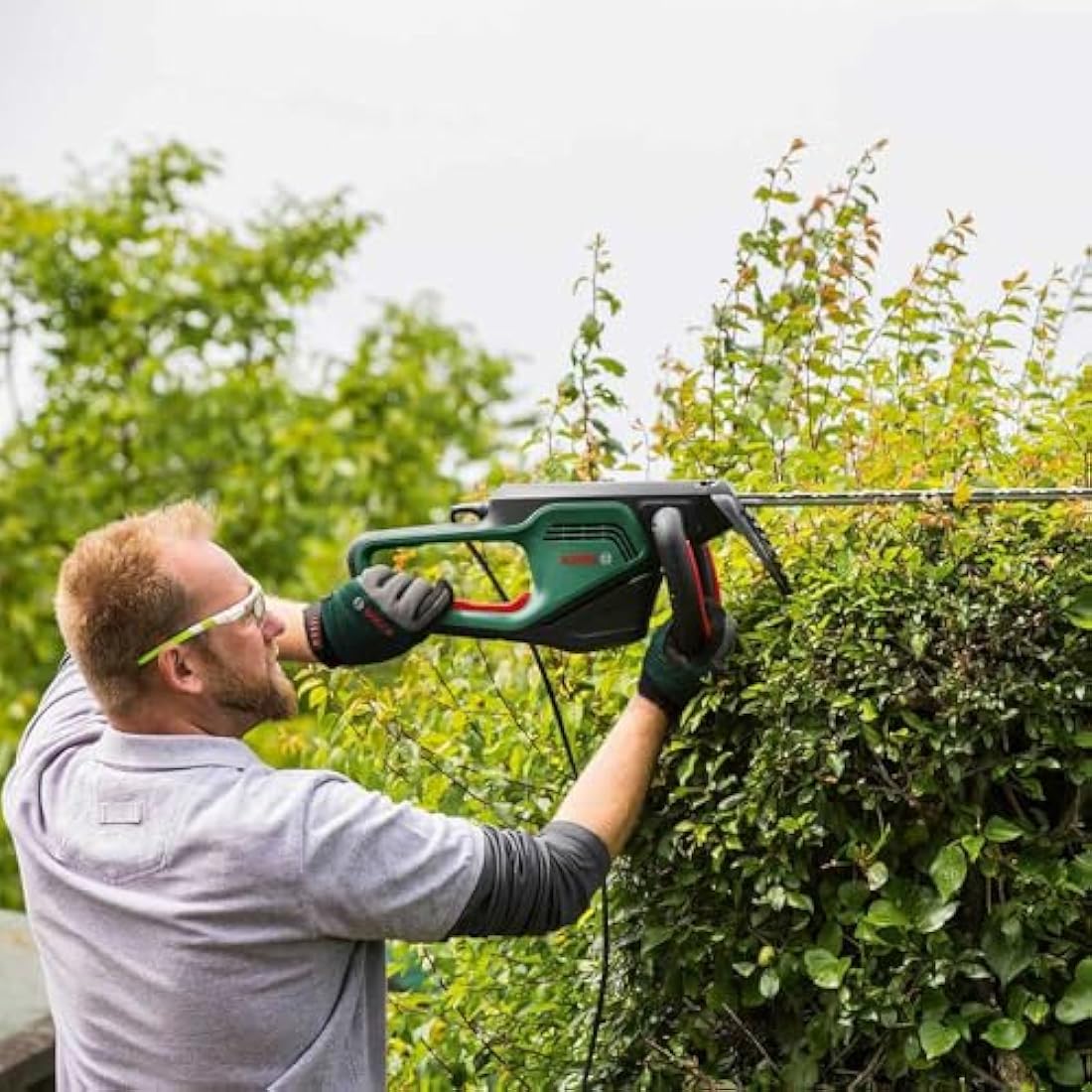 Bosch Trimmer AdvancedHedgeCut 65 (500 W, Blade Length: 65 cm, for Large Hedges, Tooth Opening: 34 mm, in Carton Packaging)