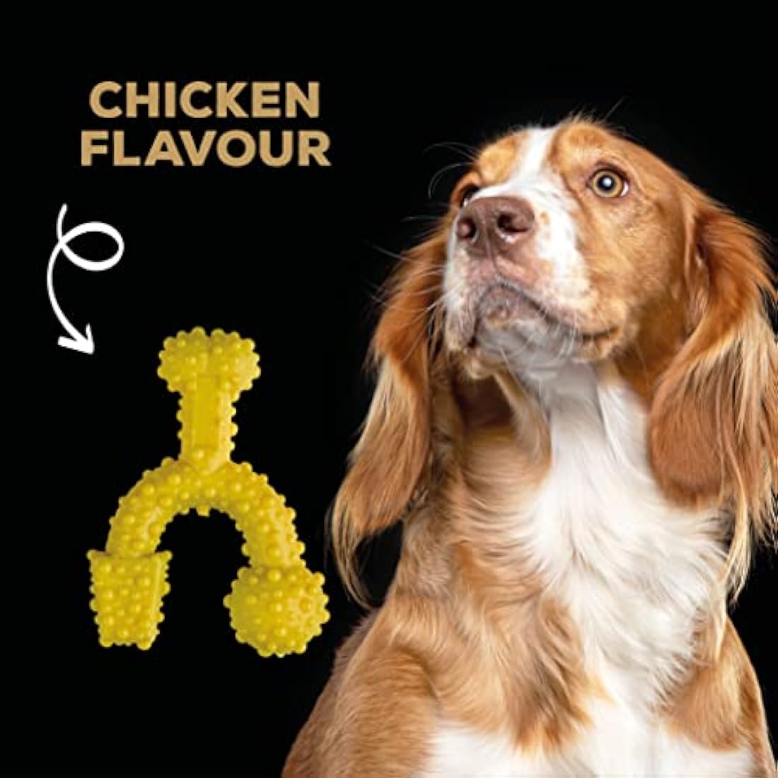 TastyBone TrioBone Nylon Dog Chew Toy for Small Dogs (Chicken) - Indestructible for Aggressive Chewers, Everlasting Flavour, Strong Healthy Teeth, Made in the UK