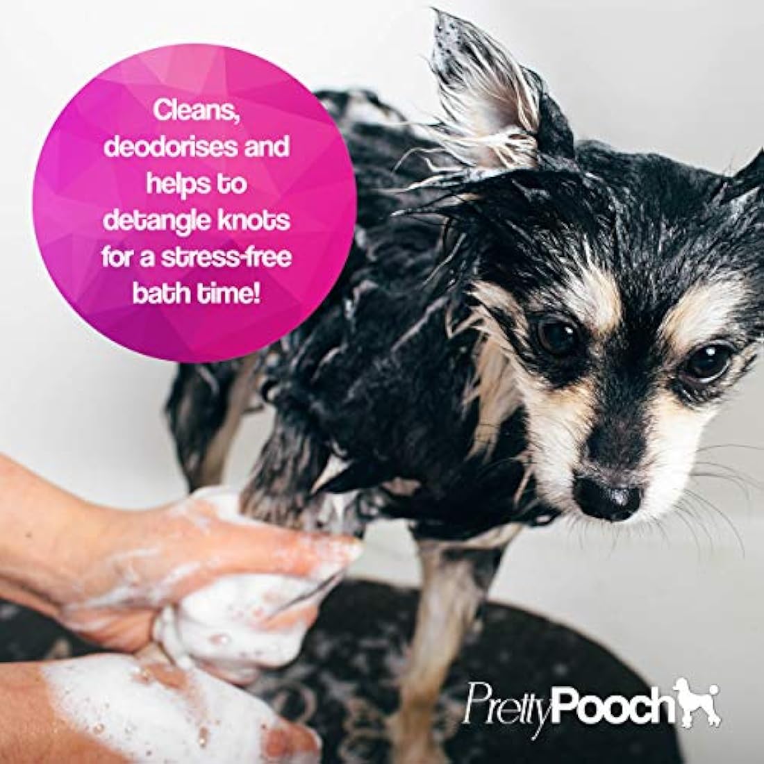 Pretty Pooch Gentle Touch Dog Shampoo & Conditioner (Baby Powder Fragrance) - A Non-itchy, Professional Deep Cleaning Shampoo for Dogs with Sensitive Skin! (5 Litre Baby Powder)
