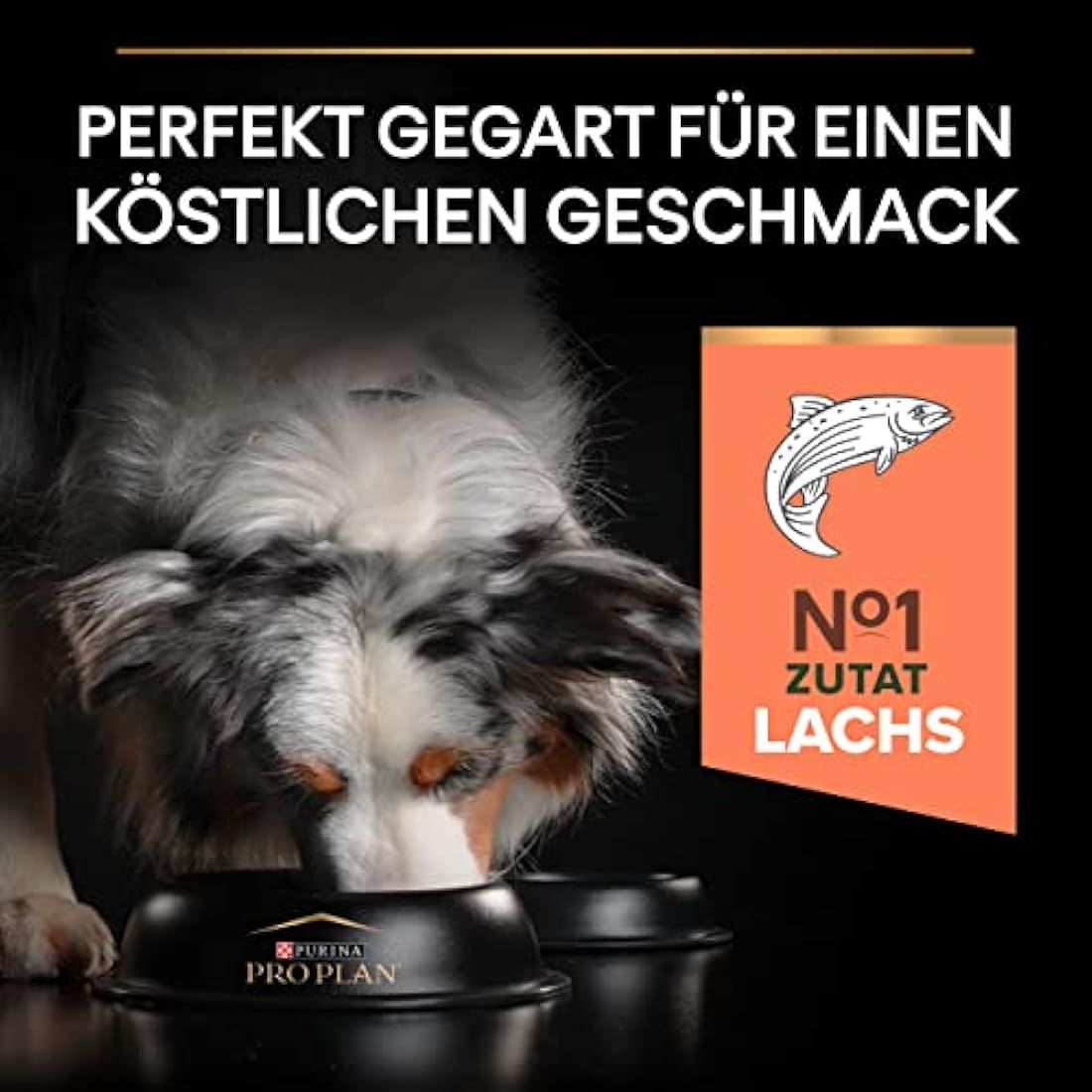 PRO PLAN® Medium Adult Dog Sensitive Skin Dry Dog Food with Salmon 14kg