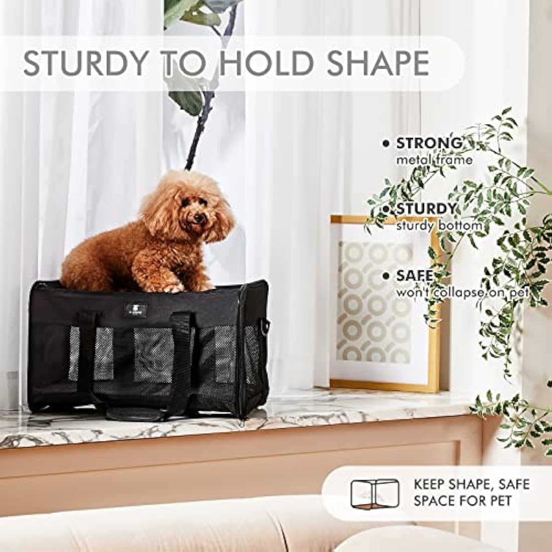 X-ZONE PET Airline Approved Soft-Sided Pet Travel Carrier for Dogs and Cats (Large, Black)