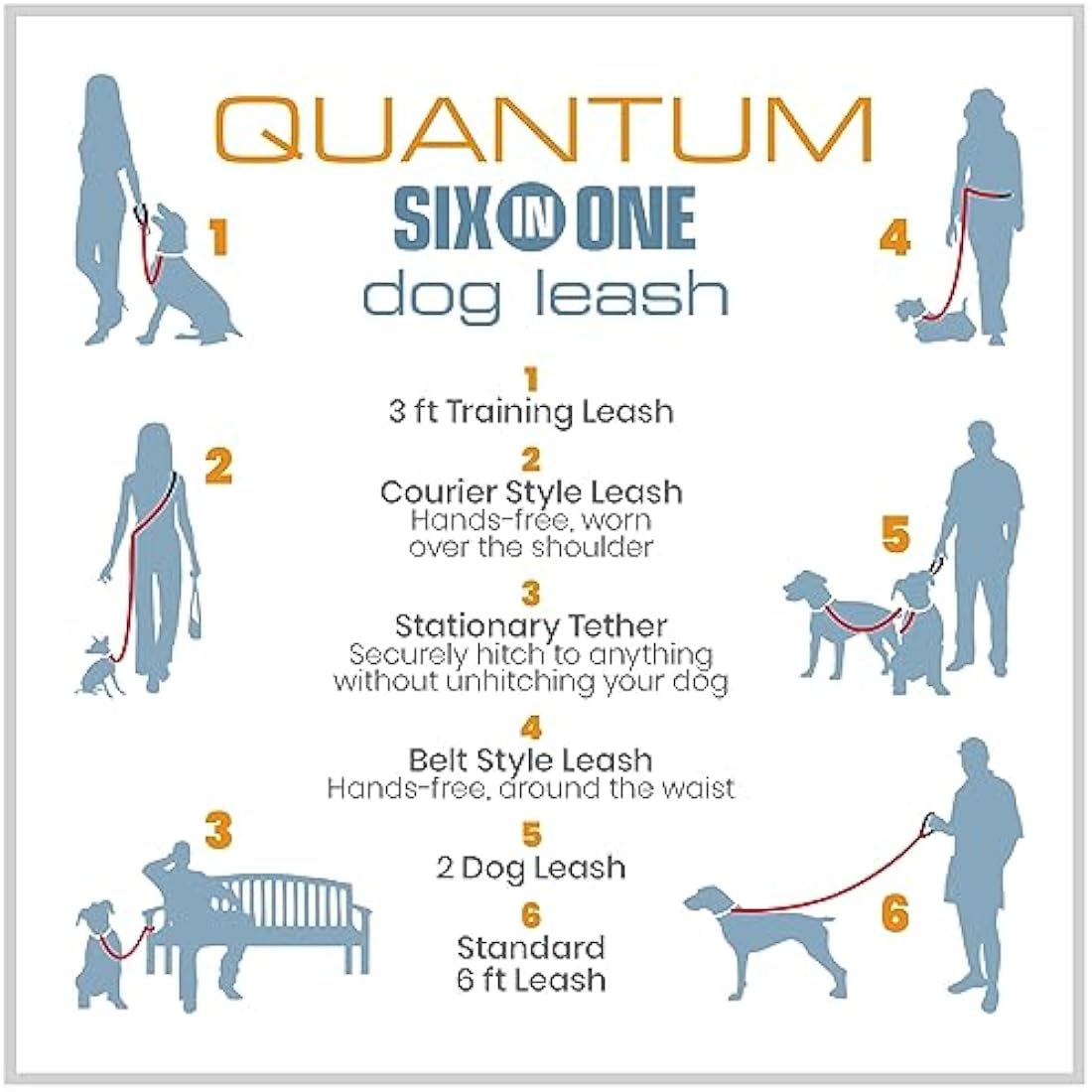 Quantum V2 6-in-1 Dog Leash, Multi-Use Dog Lead for Walking & Running, Adjustable, Hands-Free Option, Violet