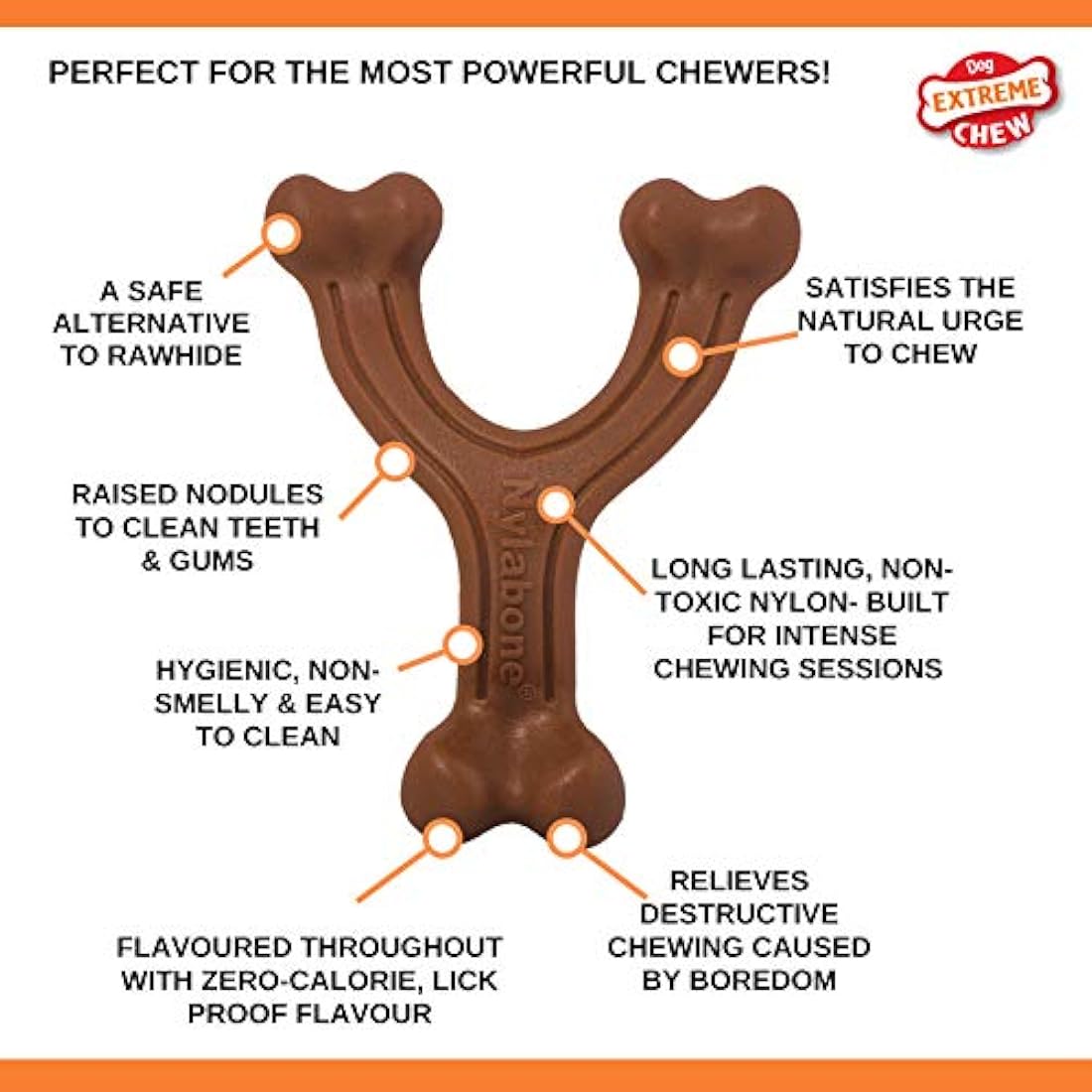 Nylabone Extreme Tough Dog Chew Toy, Wishbone Bison Flavour, Small, for Dogs Up to 11 kg,Brown, Large Breeds