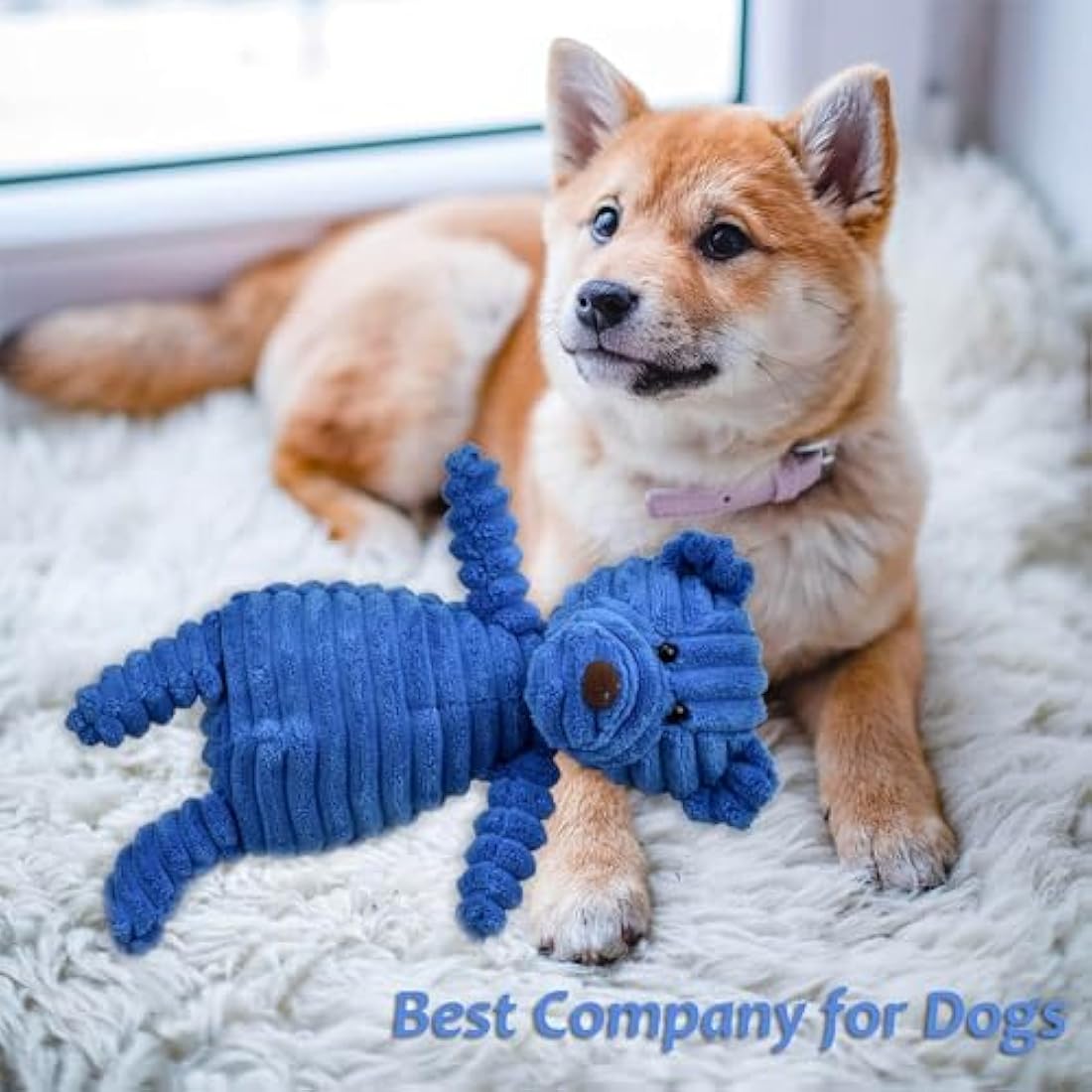 Ousiya 5-PACK Squeaky Dog Toys, Tough Stuffed Plush Dog Toys Bundle Soft Dog Chew Toys for All Breed Size Aggressive Chewers, Cuddly Animals for Puppy Small Medium Large Dogs Boredom Buster