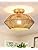 MRHYSWD Boho Rattan Flush Ceiling Lights Living Room,1 Light Wicker Chandeliers Ceiling Light Fitting for Bedroom Kitchen Dining Room Hallway, Gold Bamboo Ceiling Lighting, Without E27 Bulb